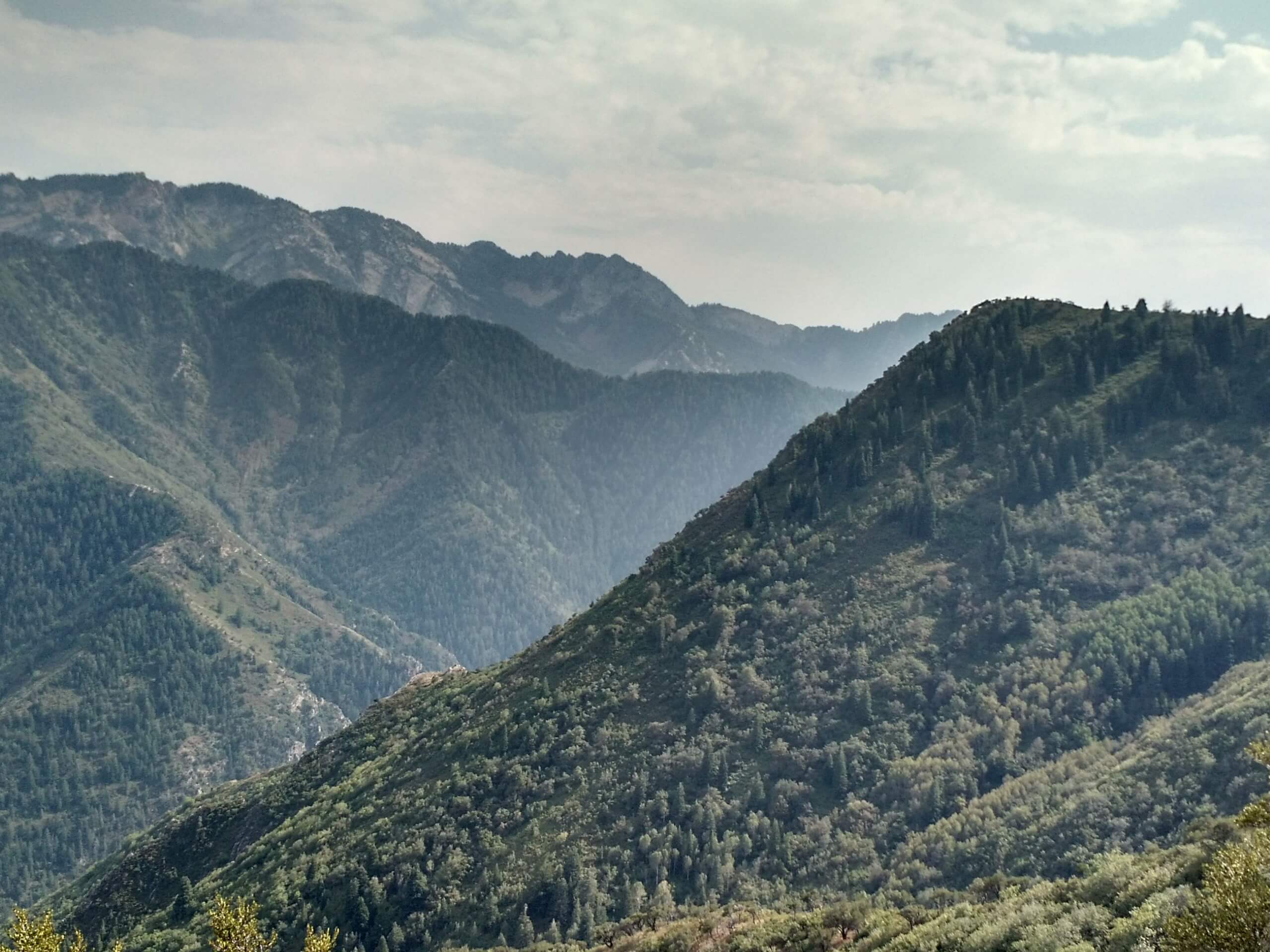 Thayne Canyon Trail