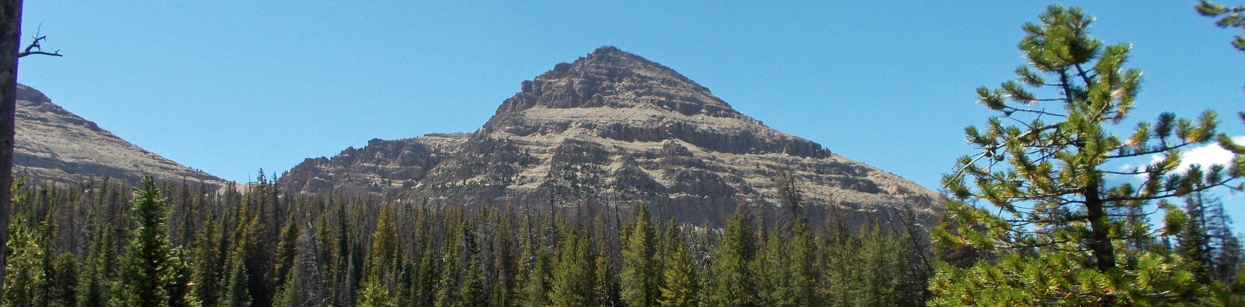 Reid’s Peak