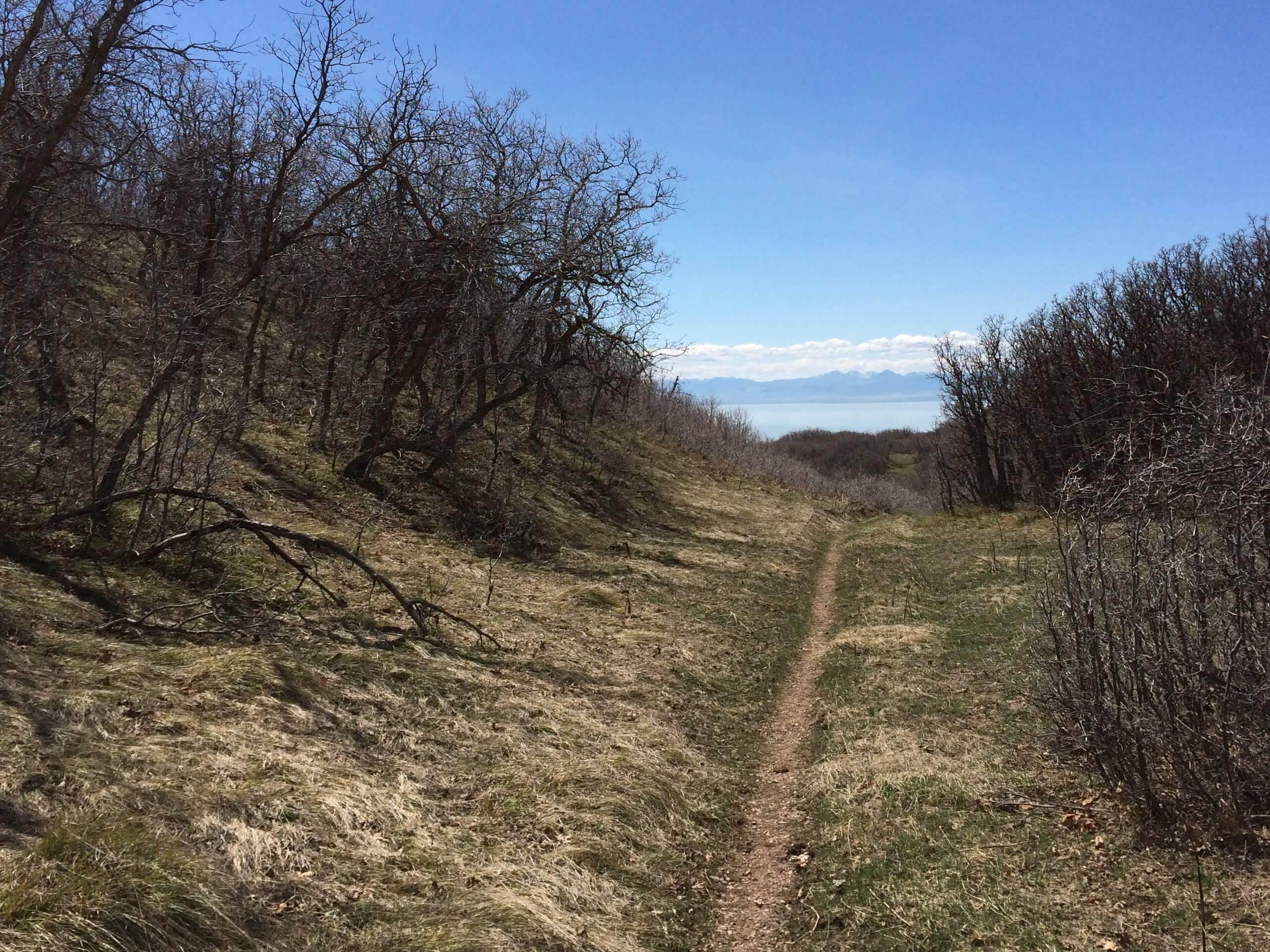 Bonneville Shoreline Trail: Fernwood Rec Area to East Mountain Wilderness Park