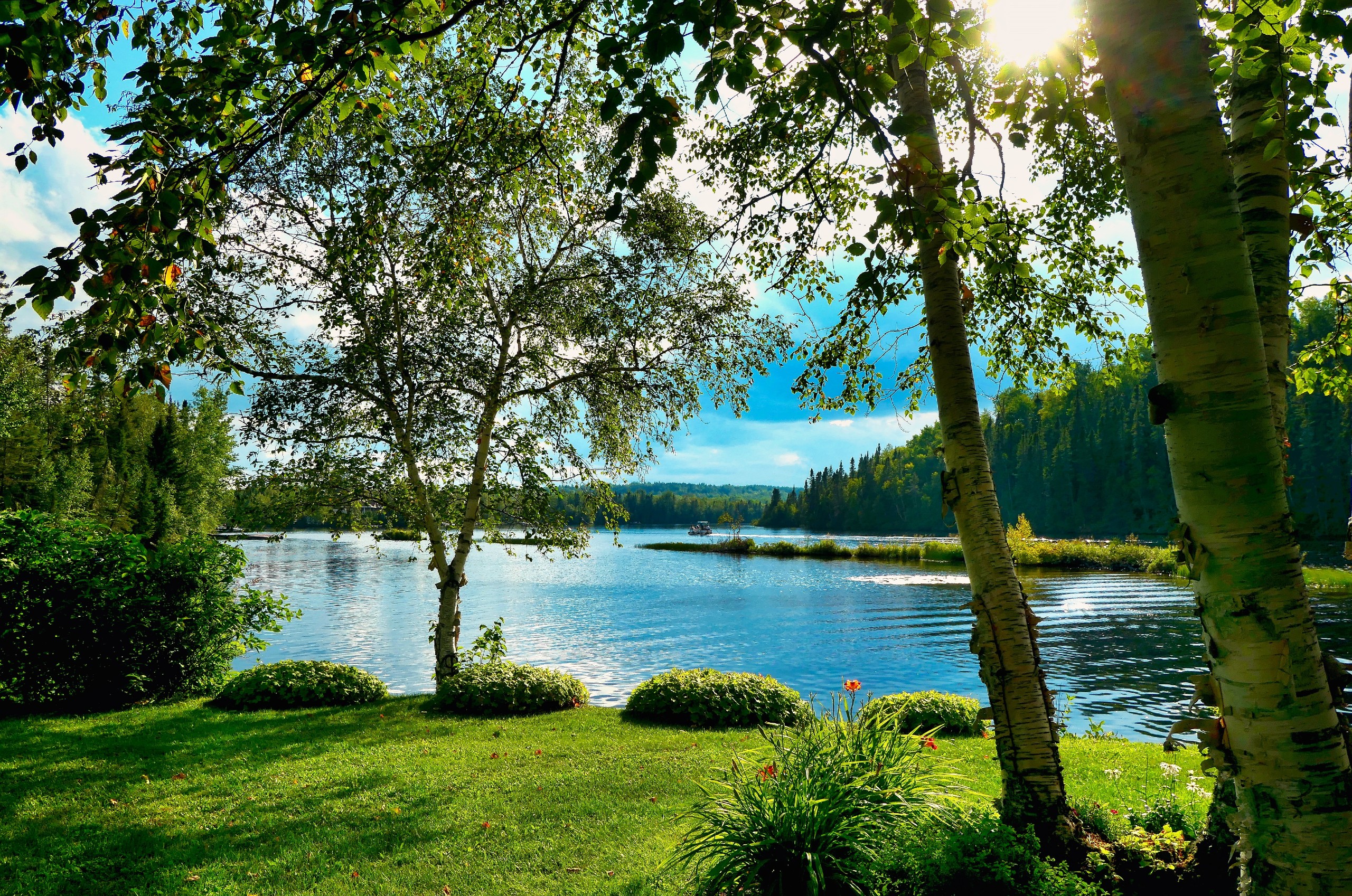 Lush green garden near a small lake