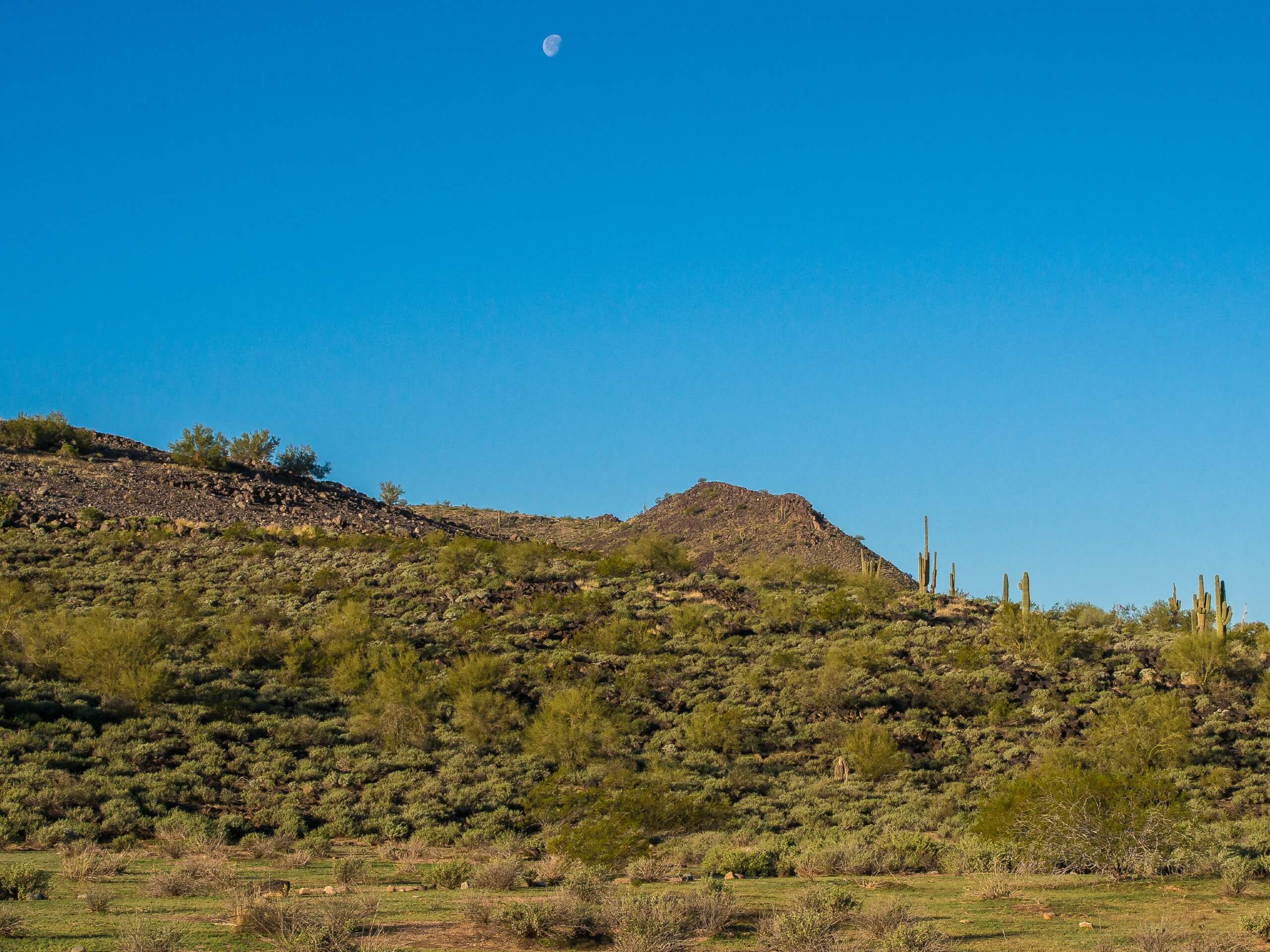 Circumference Trail to Ridgeline Loop