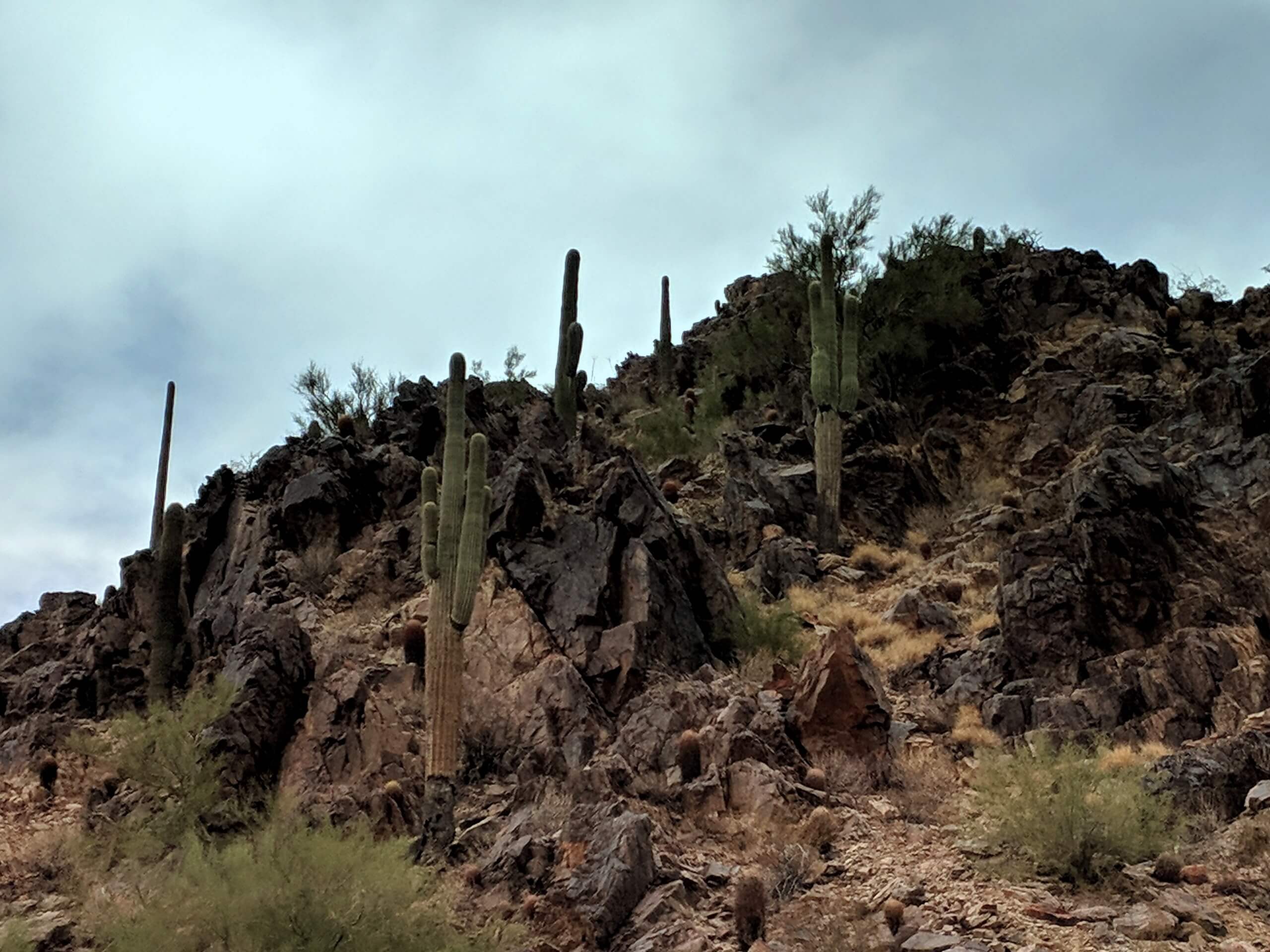 Piestewa Peak Circumference Hike