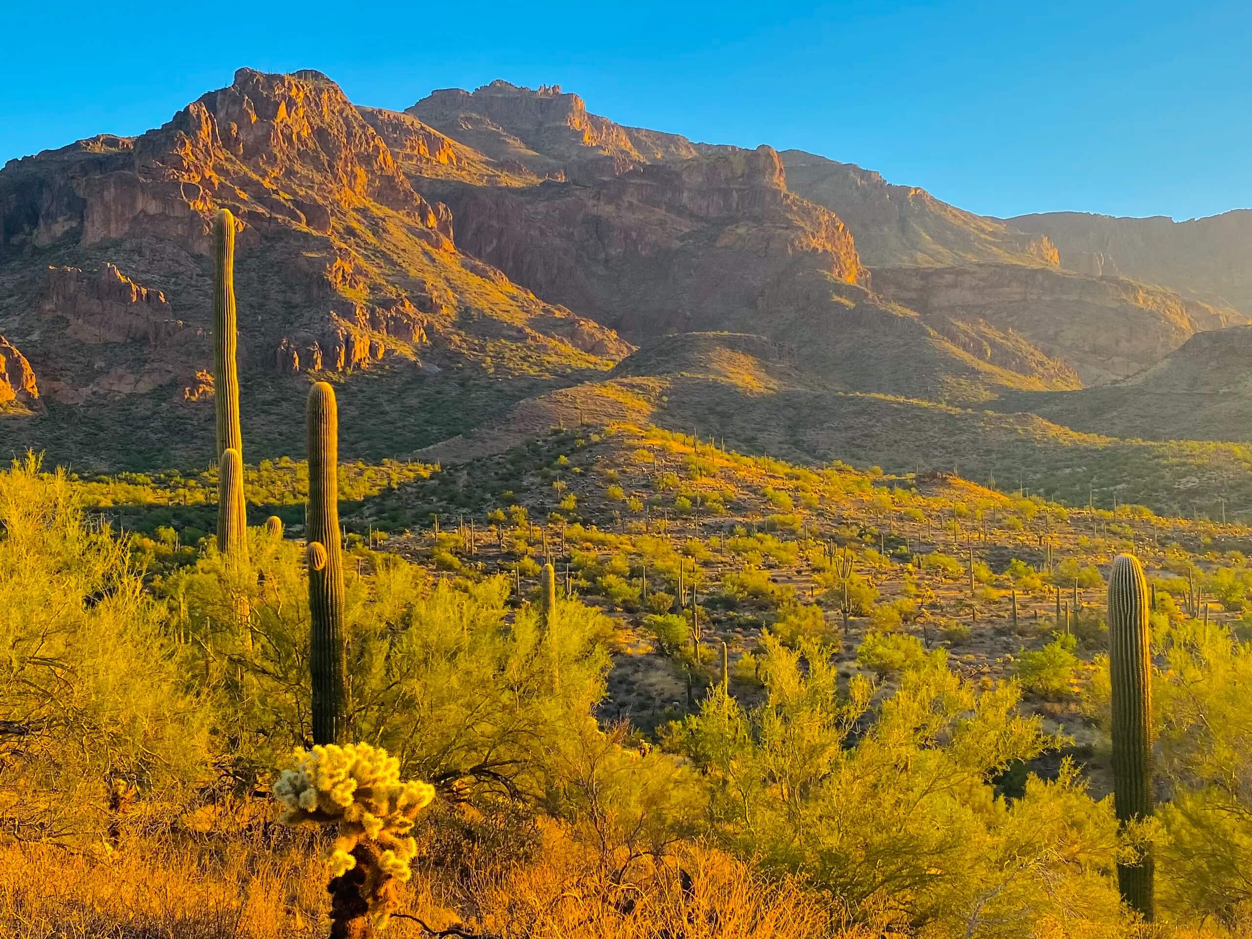 Superstition Peak 5057 via Hieroglyphic Trail