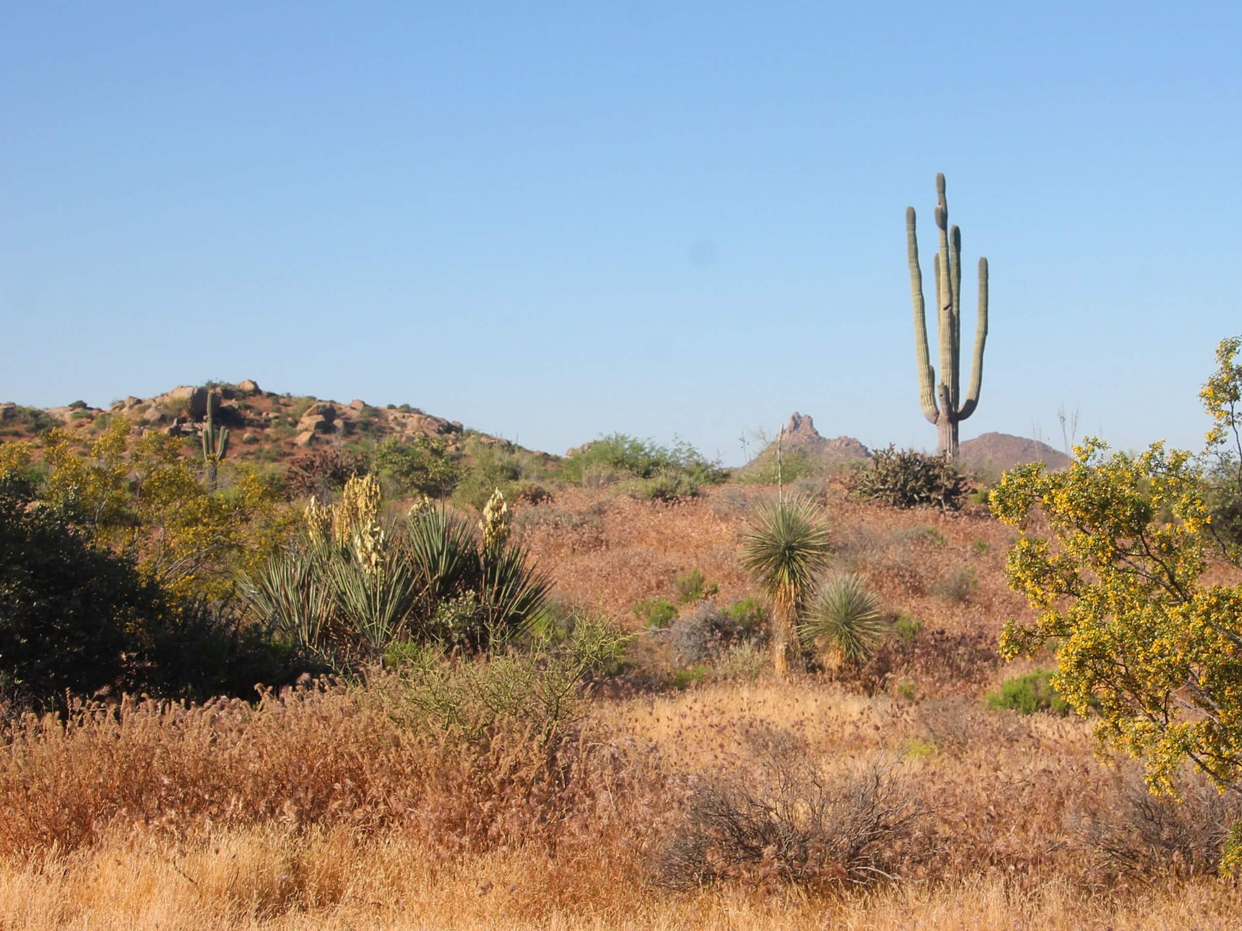 Upper Ranch and Brown's Ranch Road Trail