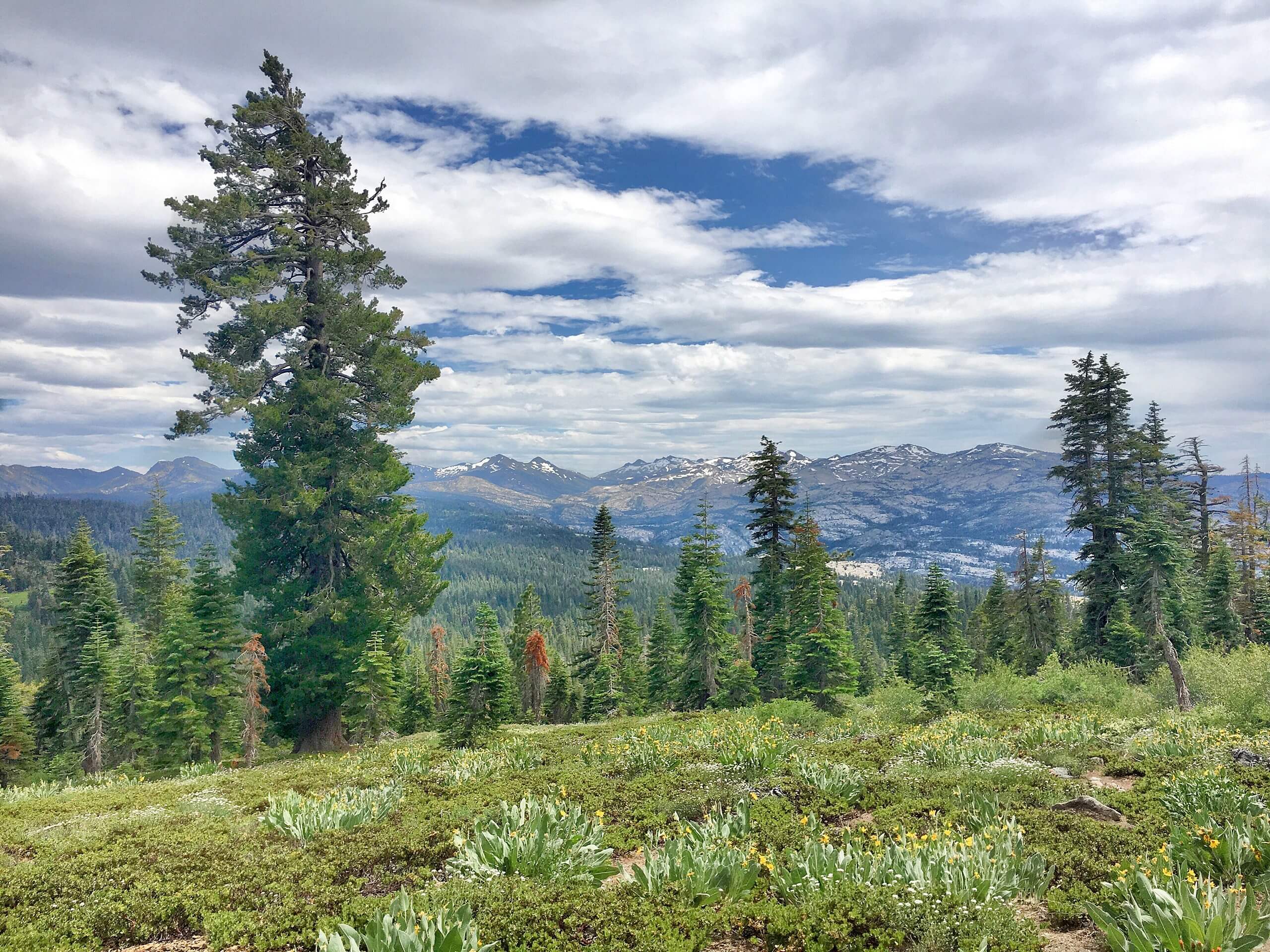 Barker Pass to Tahoe City Hike