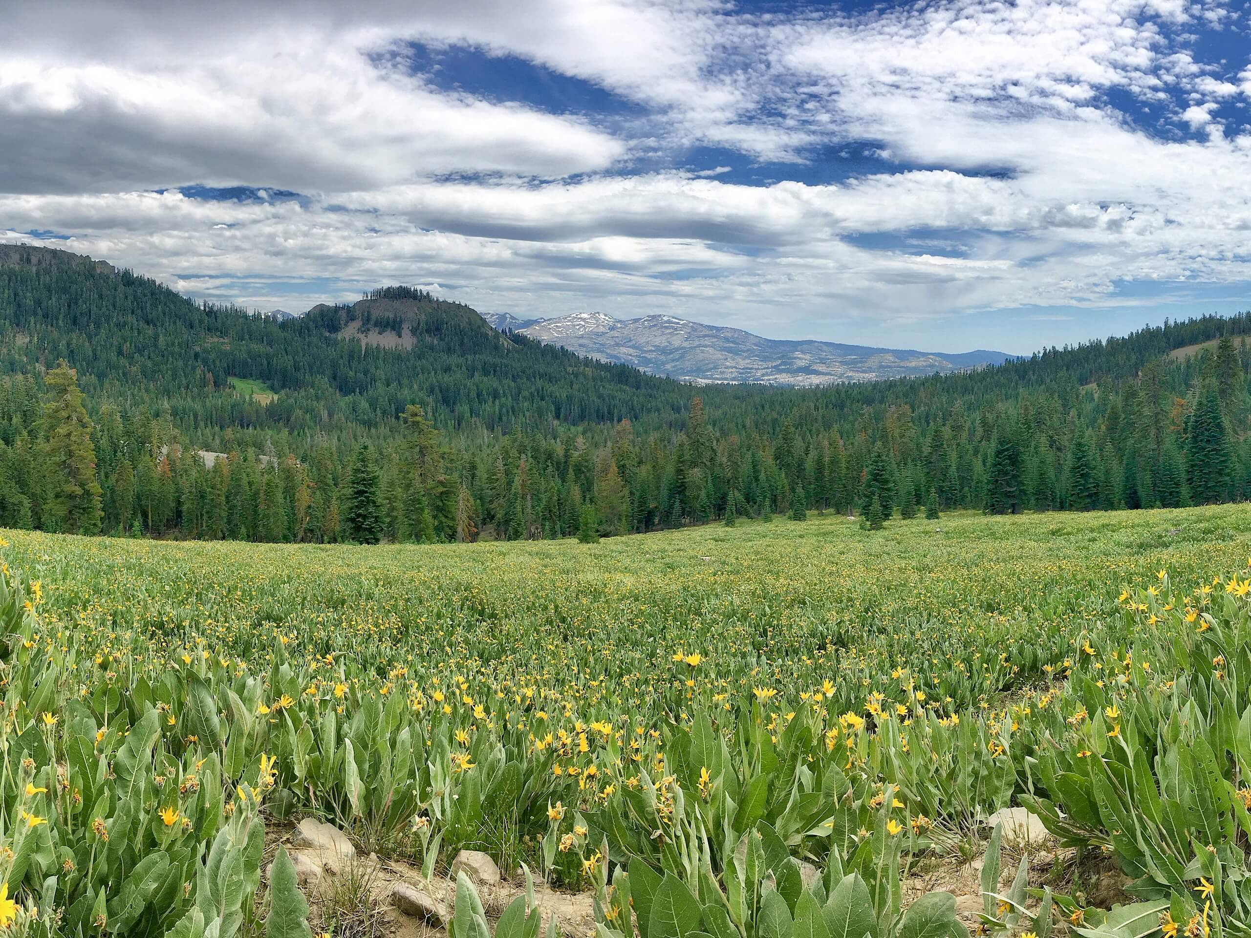 Barker Pass to Twin Peaks Hike