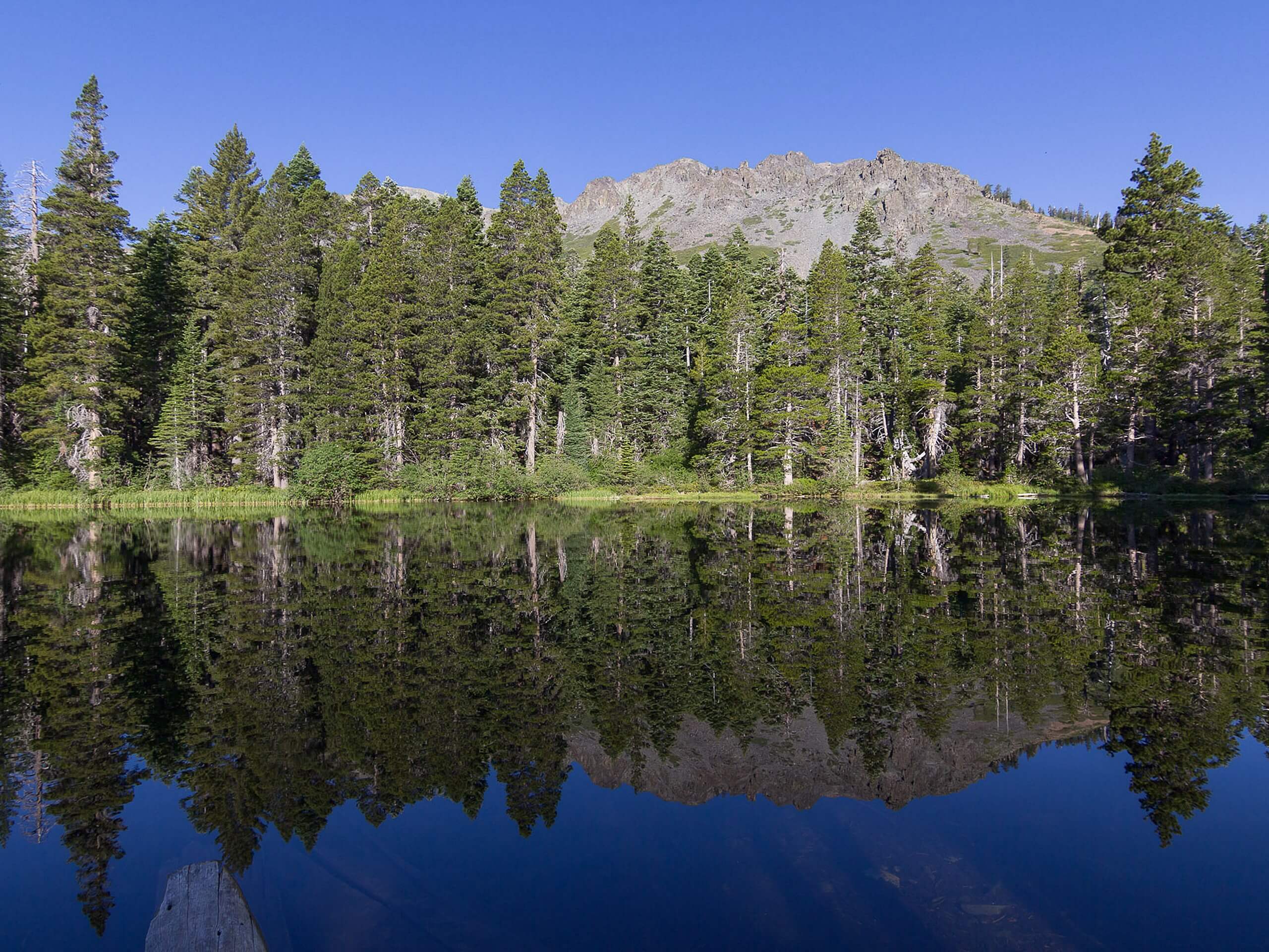 Floating Island and Cathedral Lakes Hike