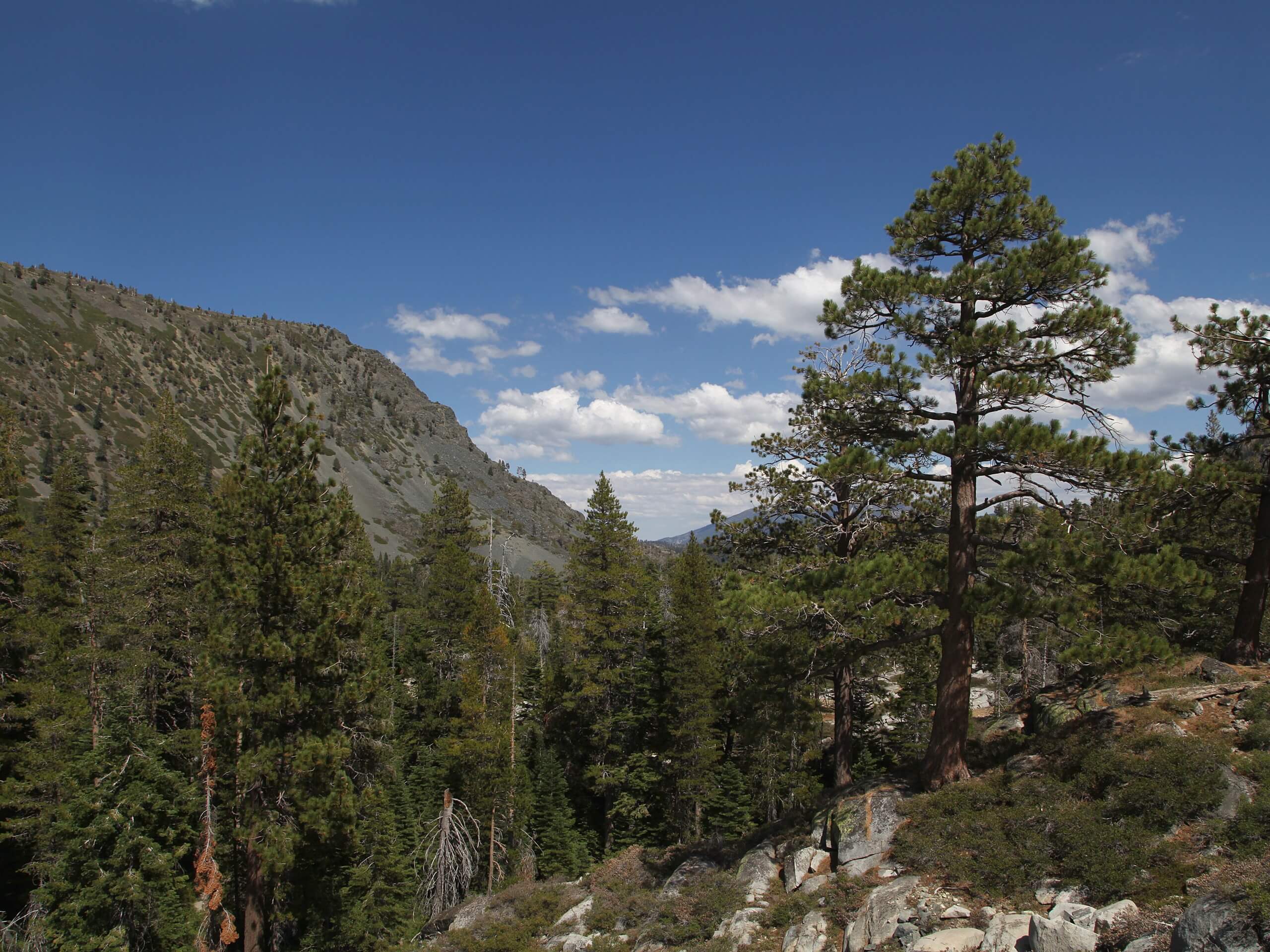 Glen Alpine Loop