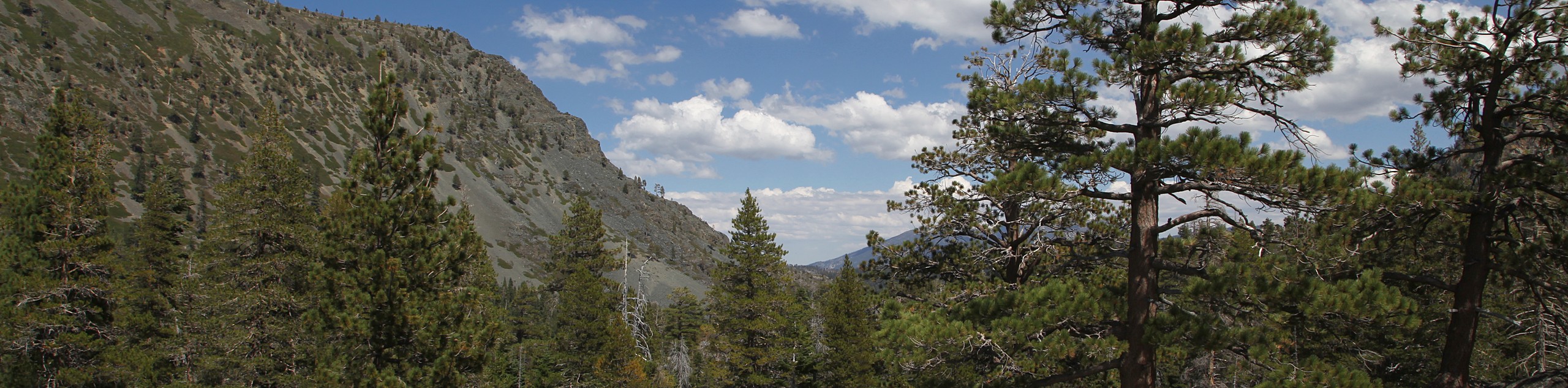 Glen Alpine Trail
