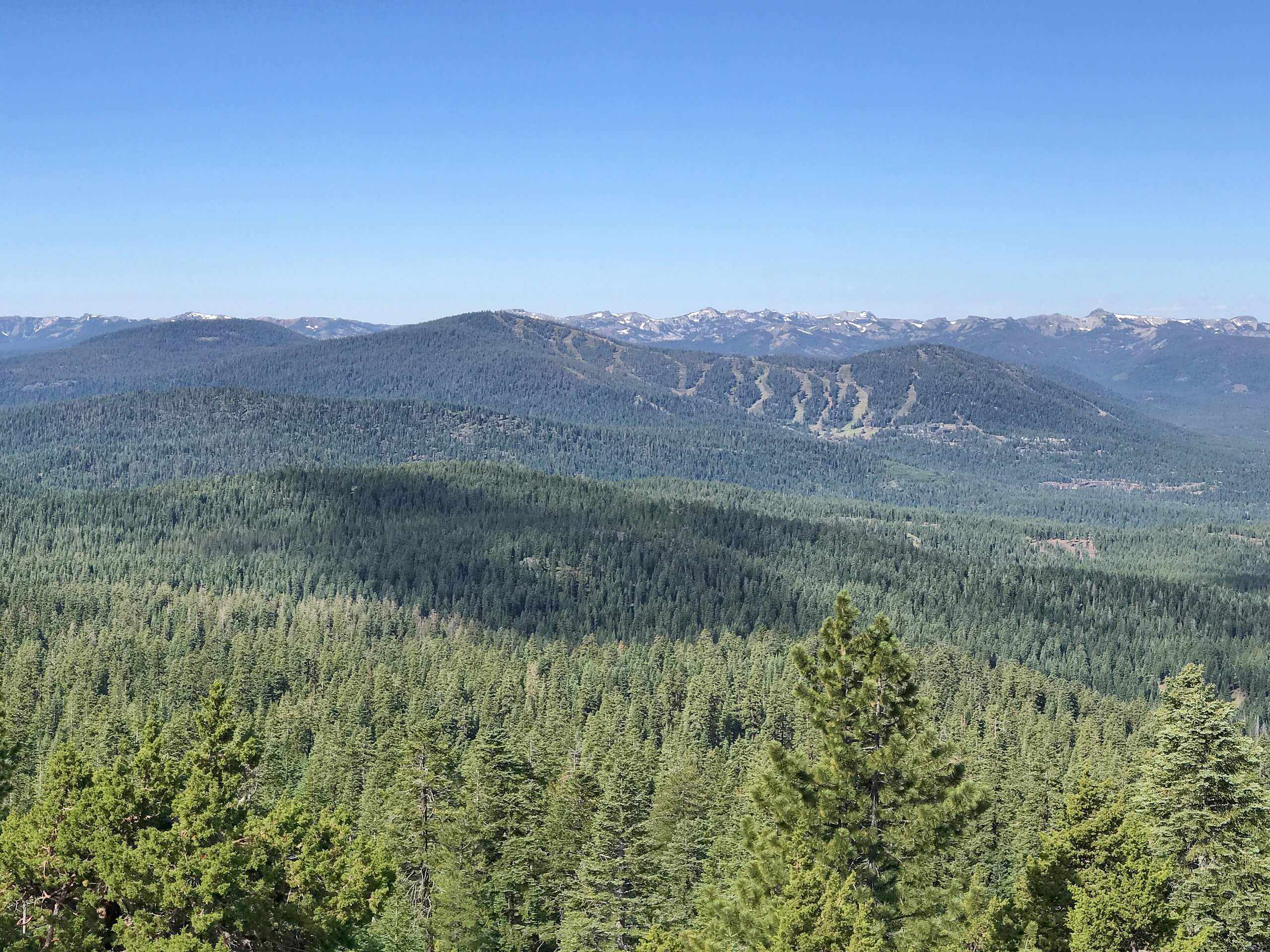 Martis Peak Fire Lookout Hike