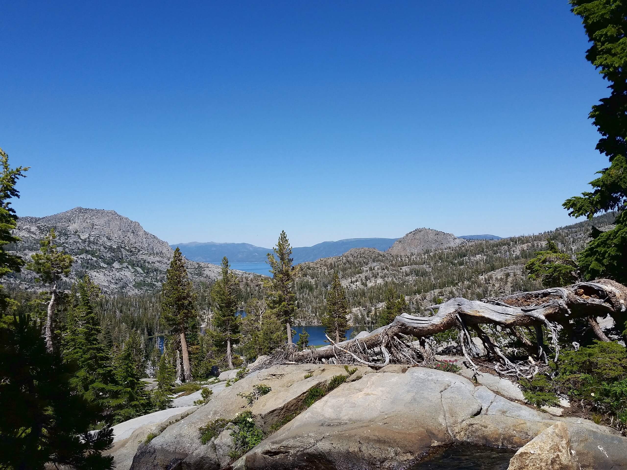 Mount Tallac Hike