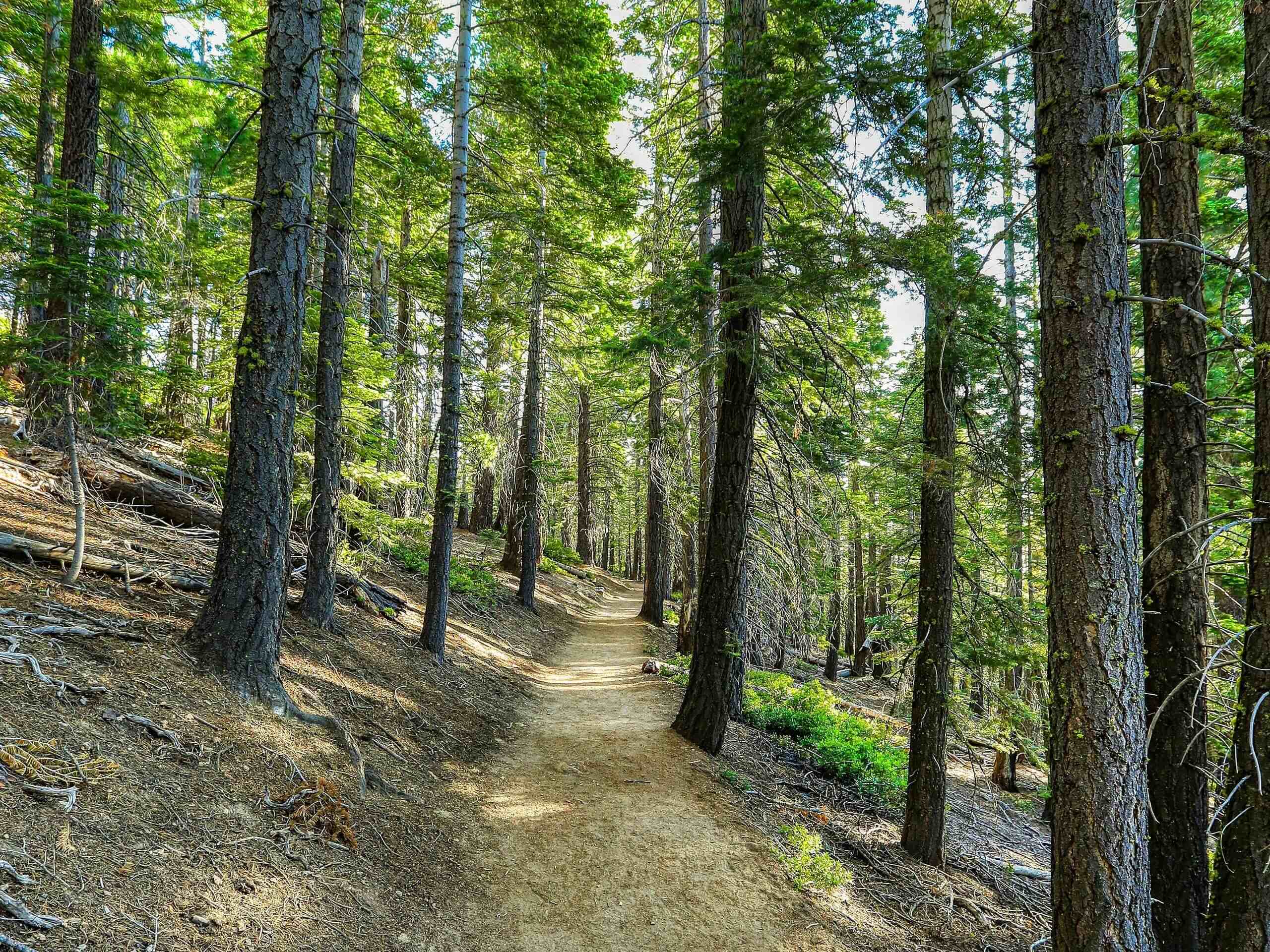 Rubicon Trail