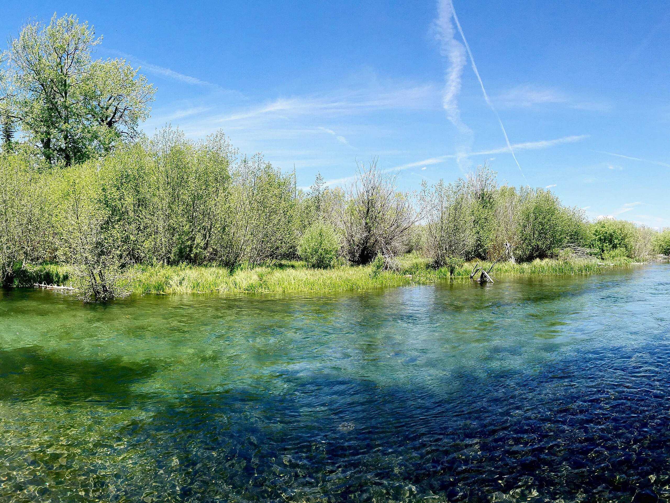 Taylor Creek Loop