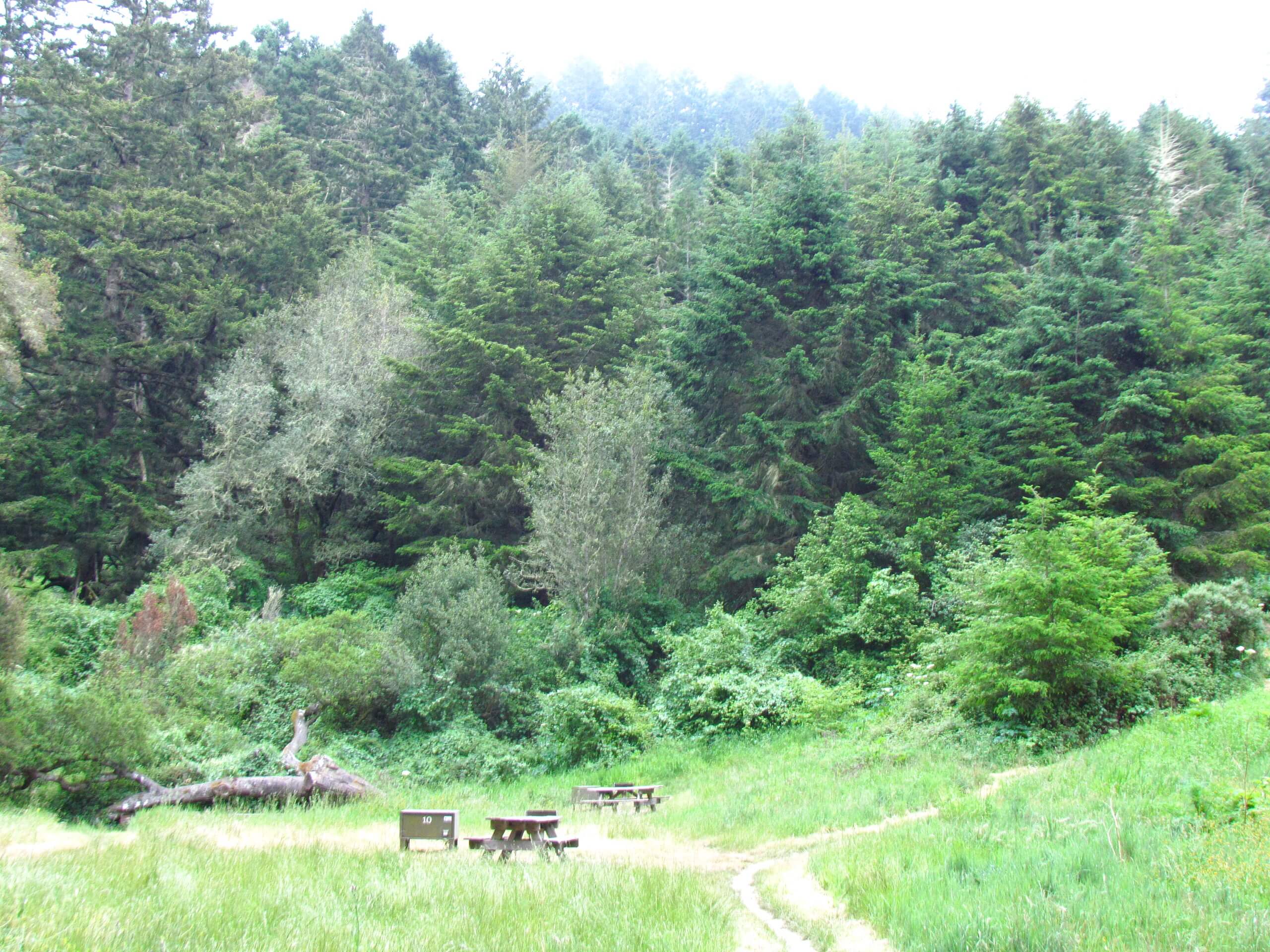 Bear Valley to Glen Camp Loop