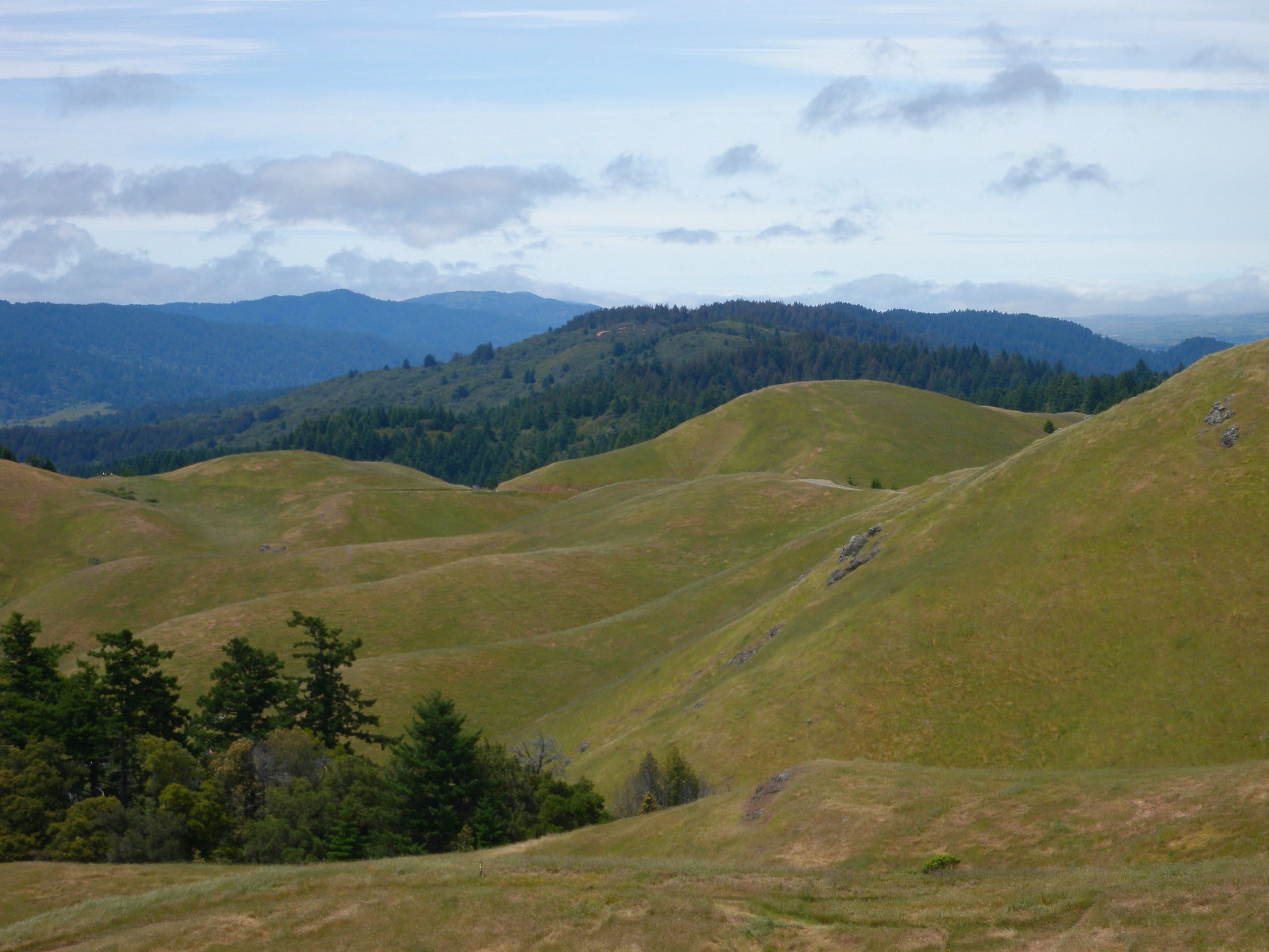 Bolinas Ridge Loop