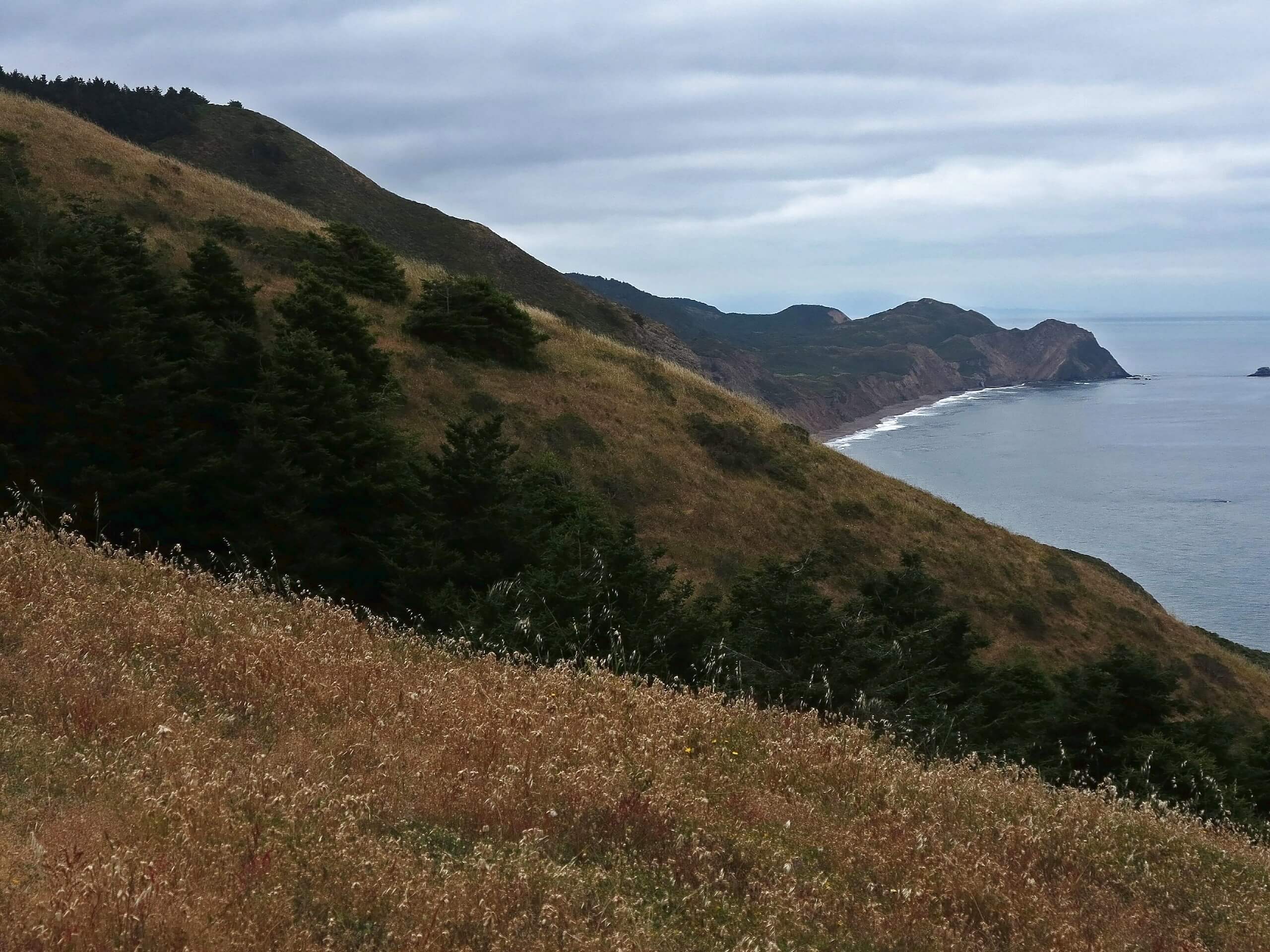 Coast Trail to Wildcat Camp Hike