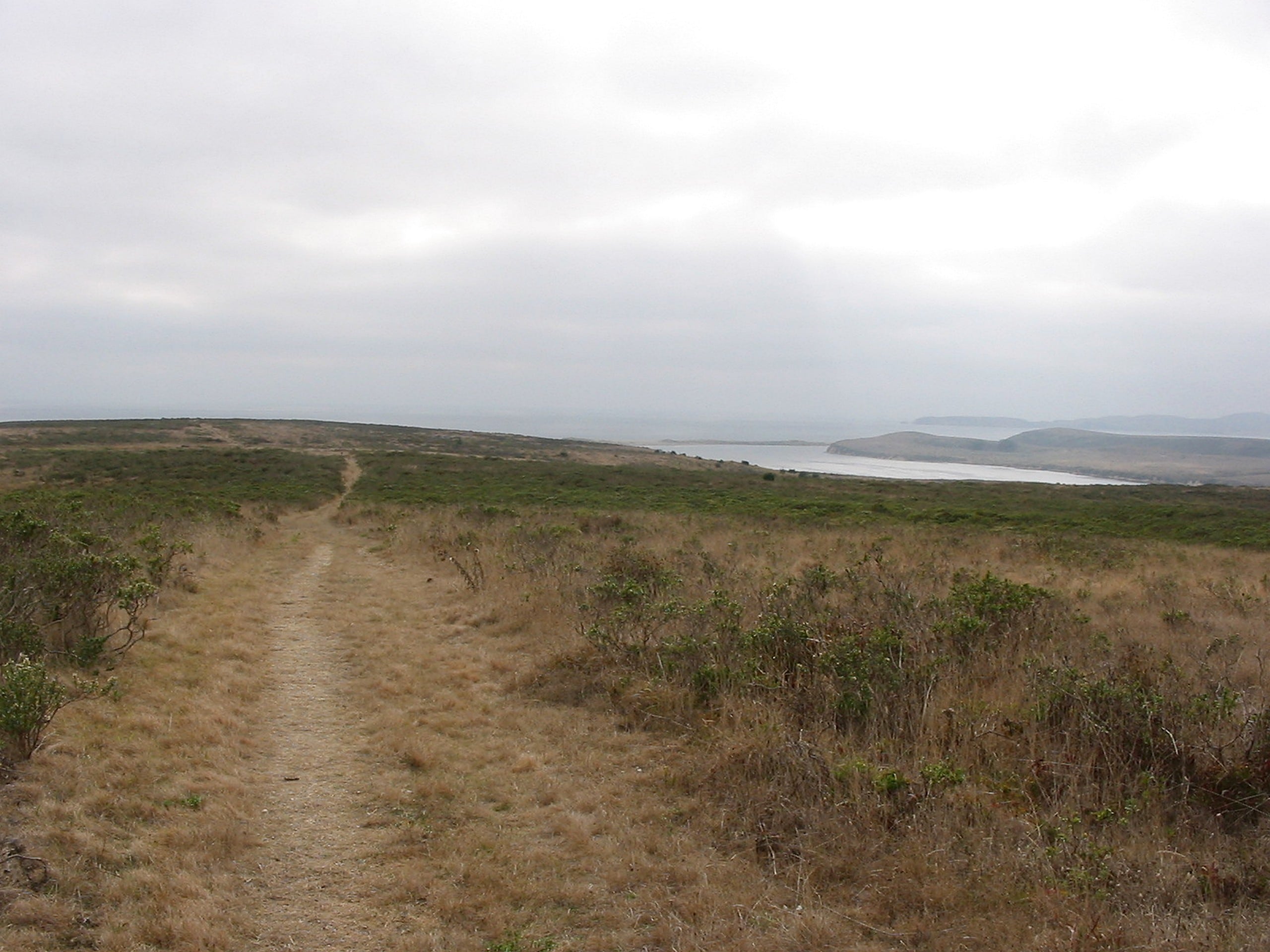 Estero, Glenbrook, and Muddy Hollow Loop