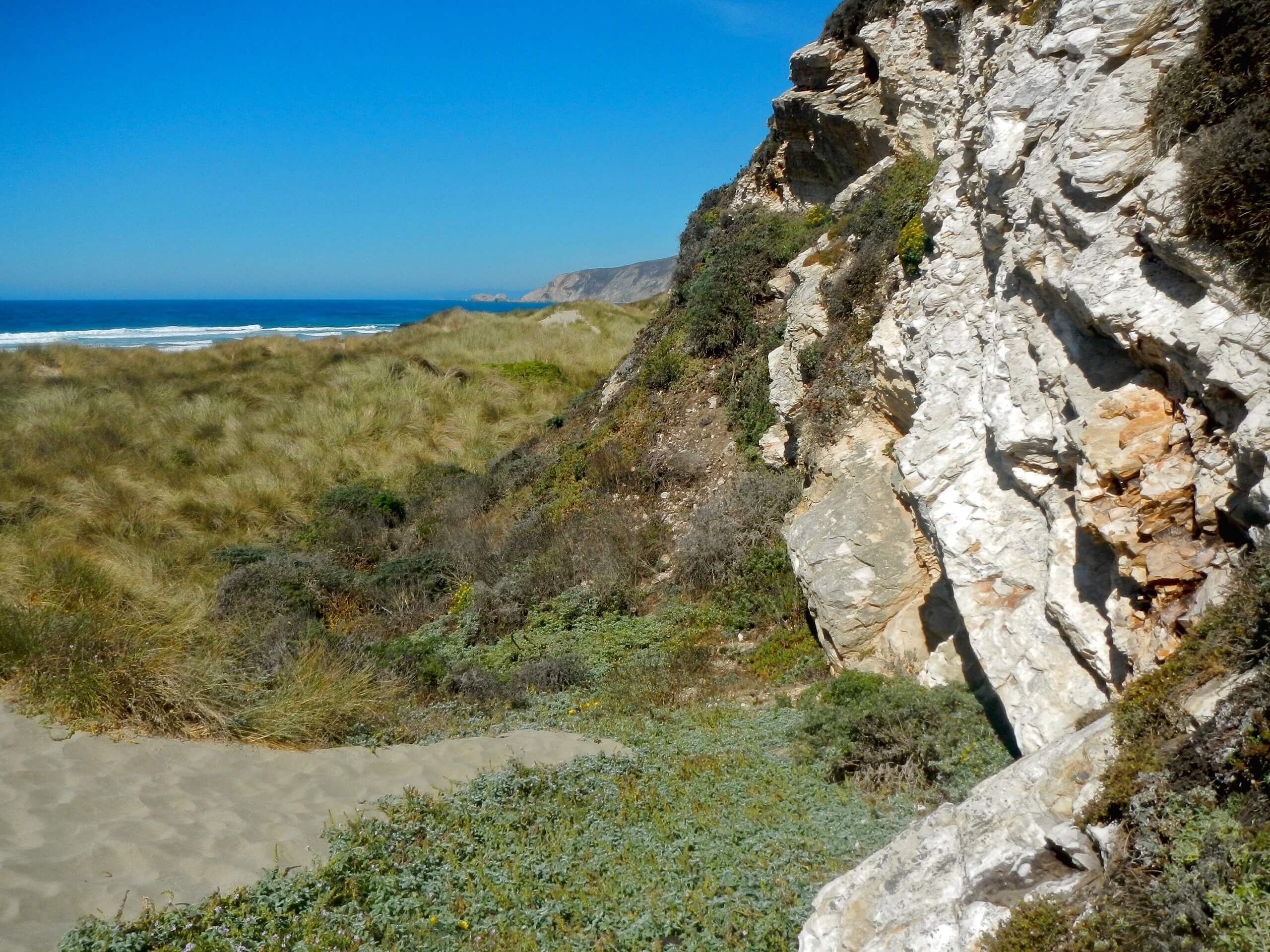 Kehoe Beach Trail