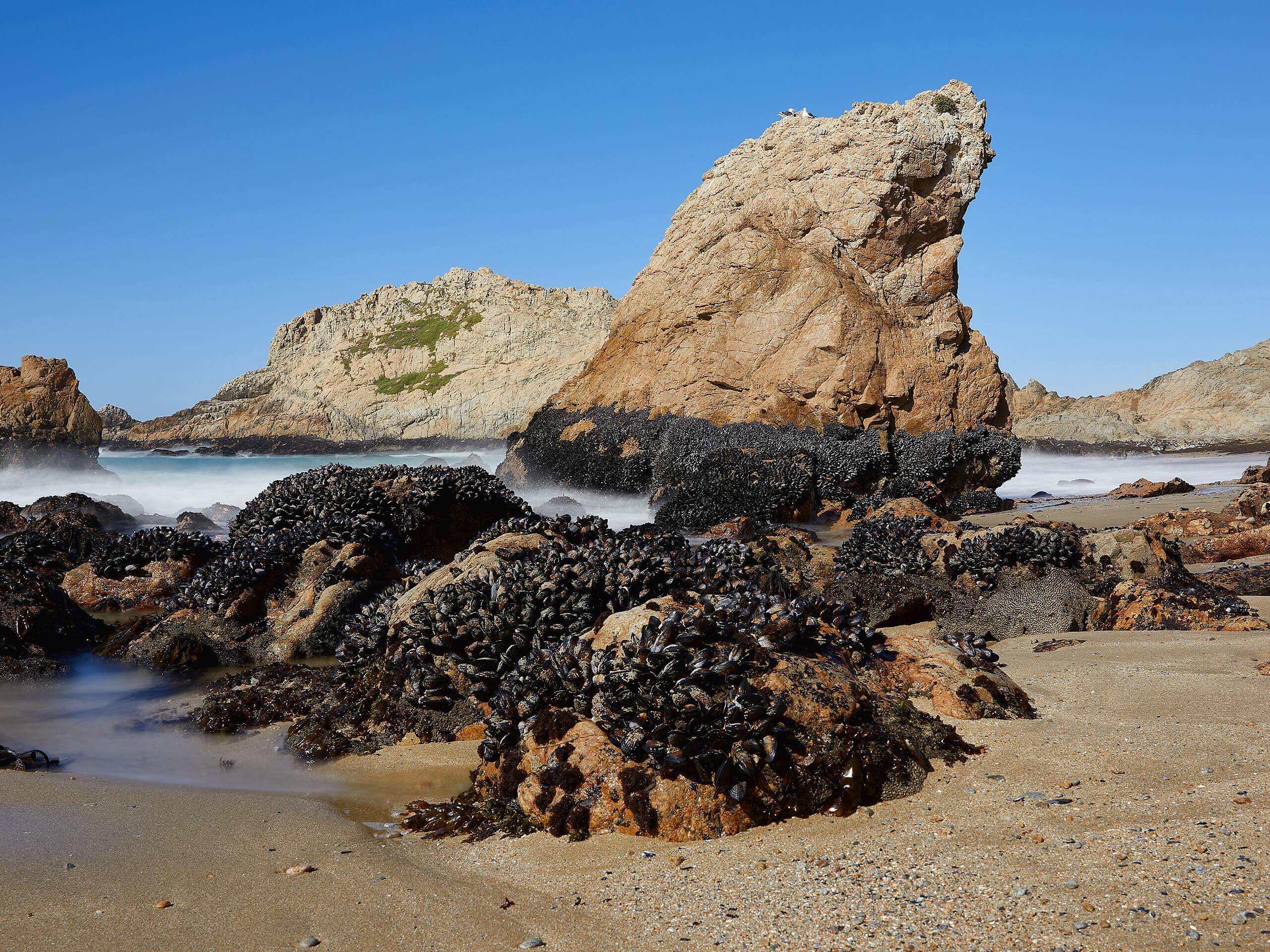 McClures Beach Trail