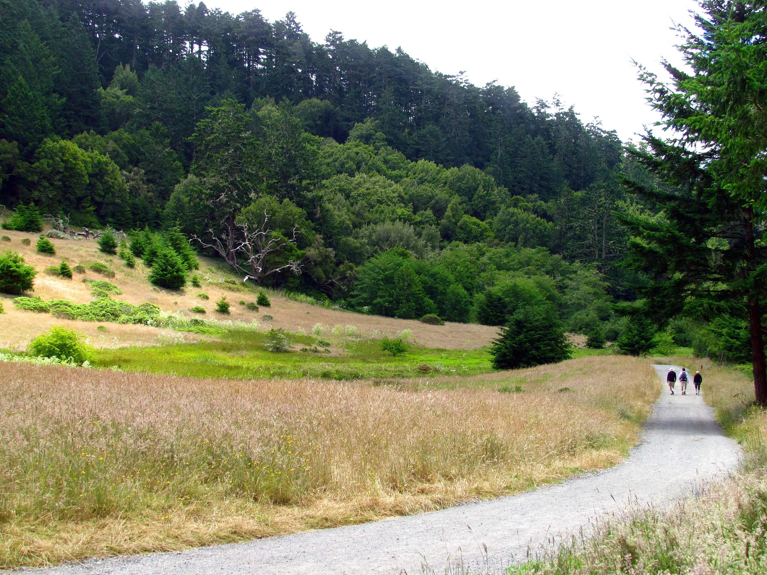 Mount Wittenburg and Bear Valley Loop