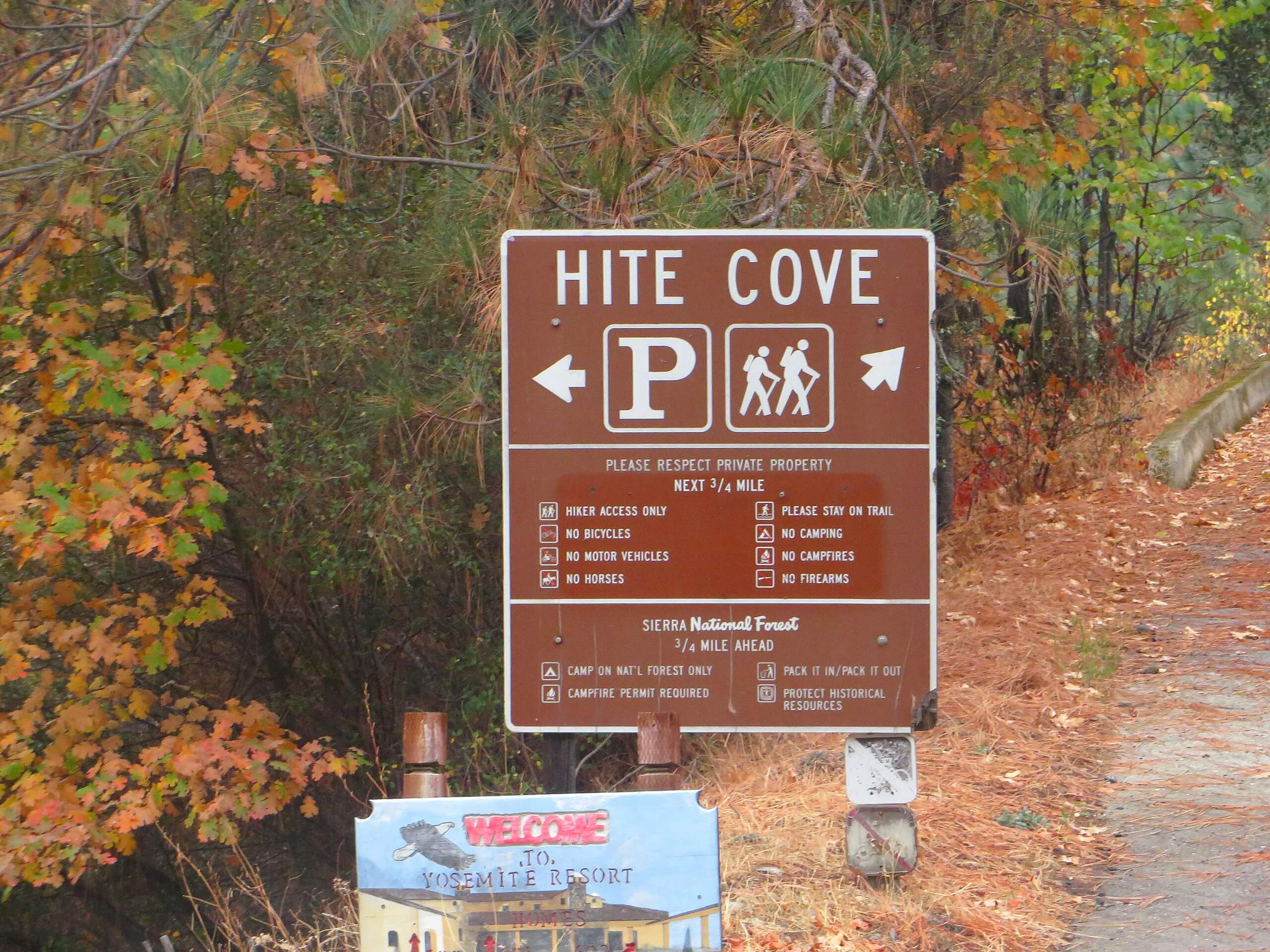 Hite Cove Road Hike