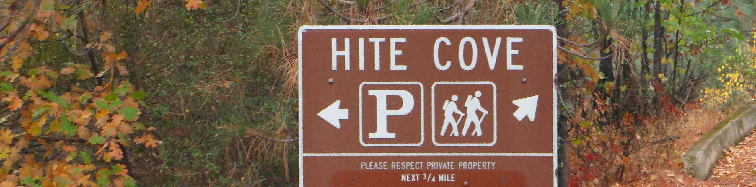 Hite Cove Road Hike