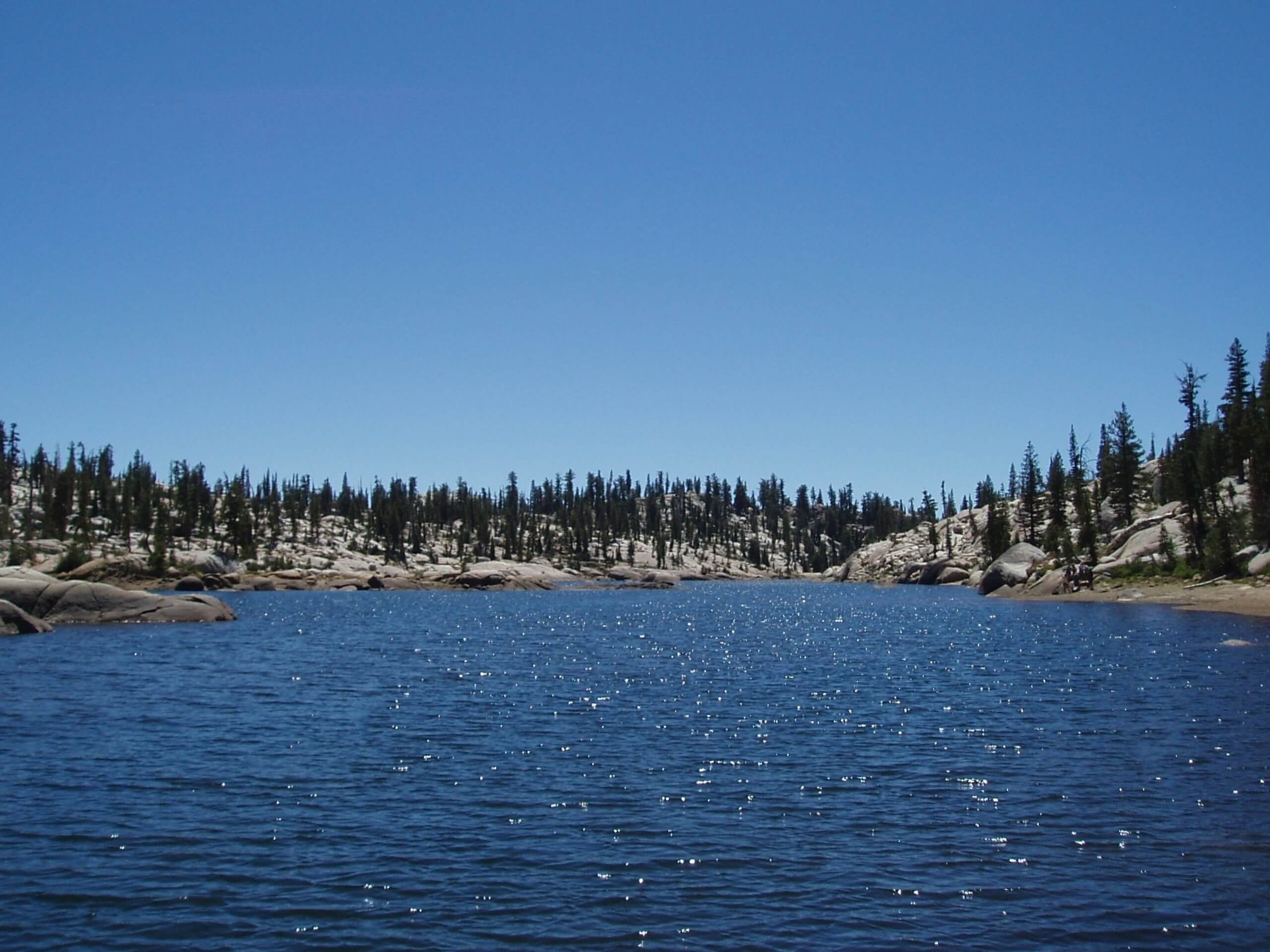 Y Meadow Lake Trail