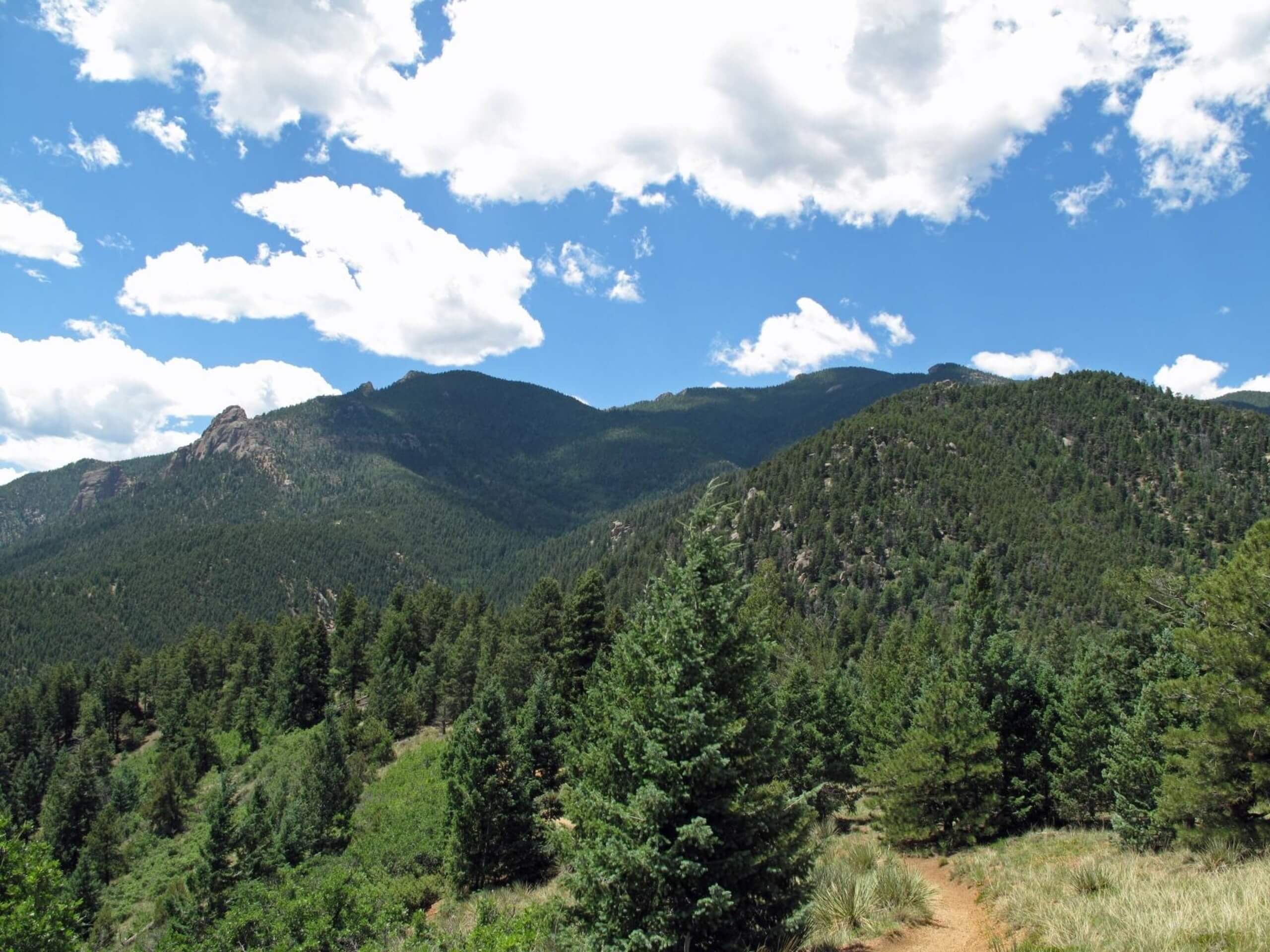 Intemann Loop Trail |Manitou Section 16 Open Space