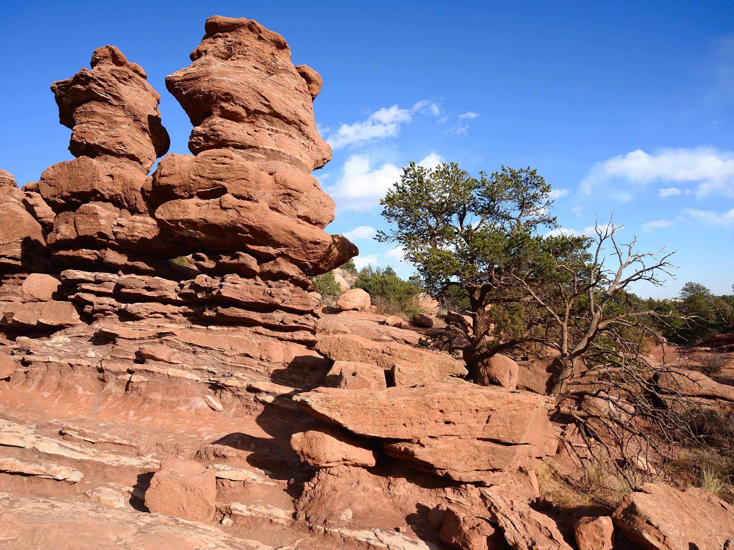 Palmer Trail to Siamese Twins