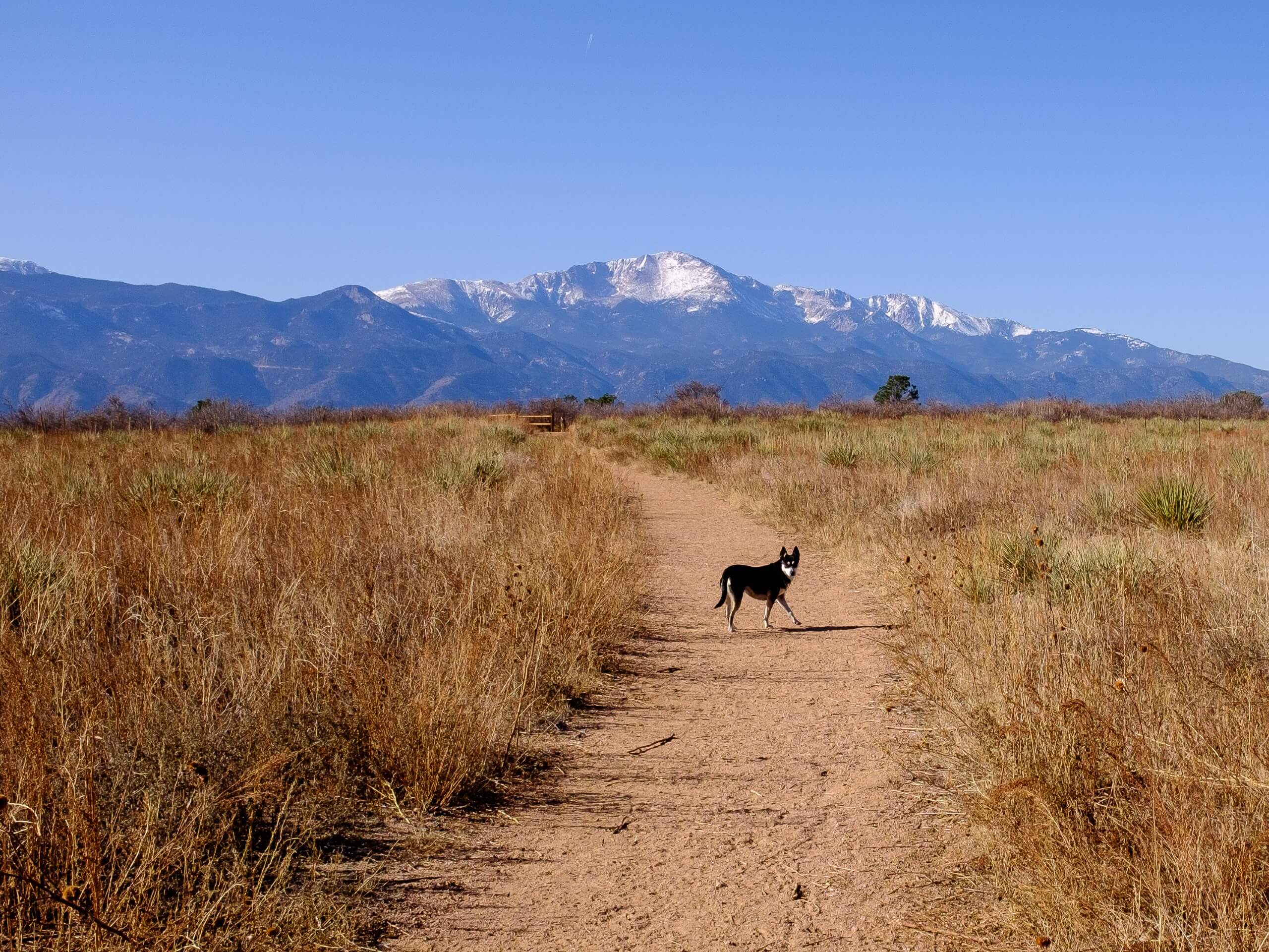 Templeton and Mesa Loop Trail