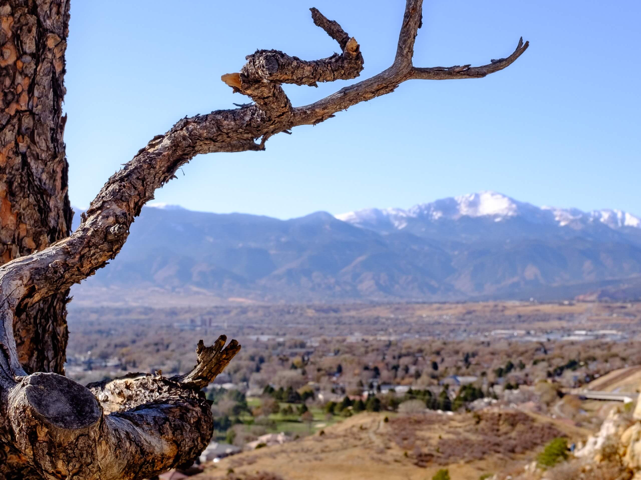 Yucca Loop Trail