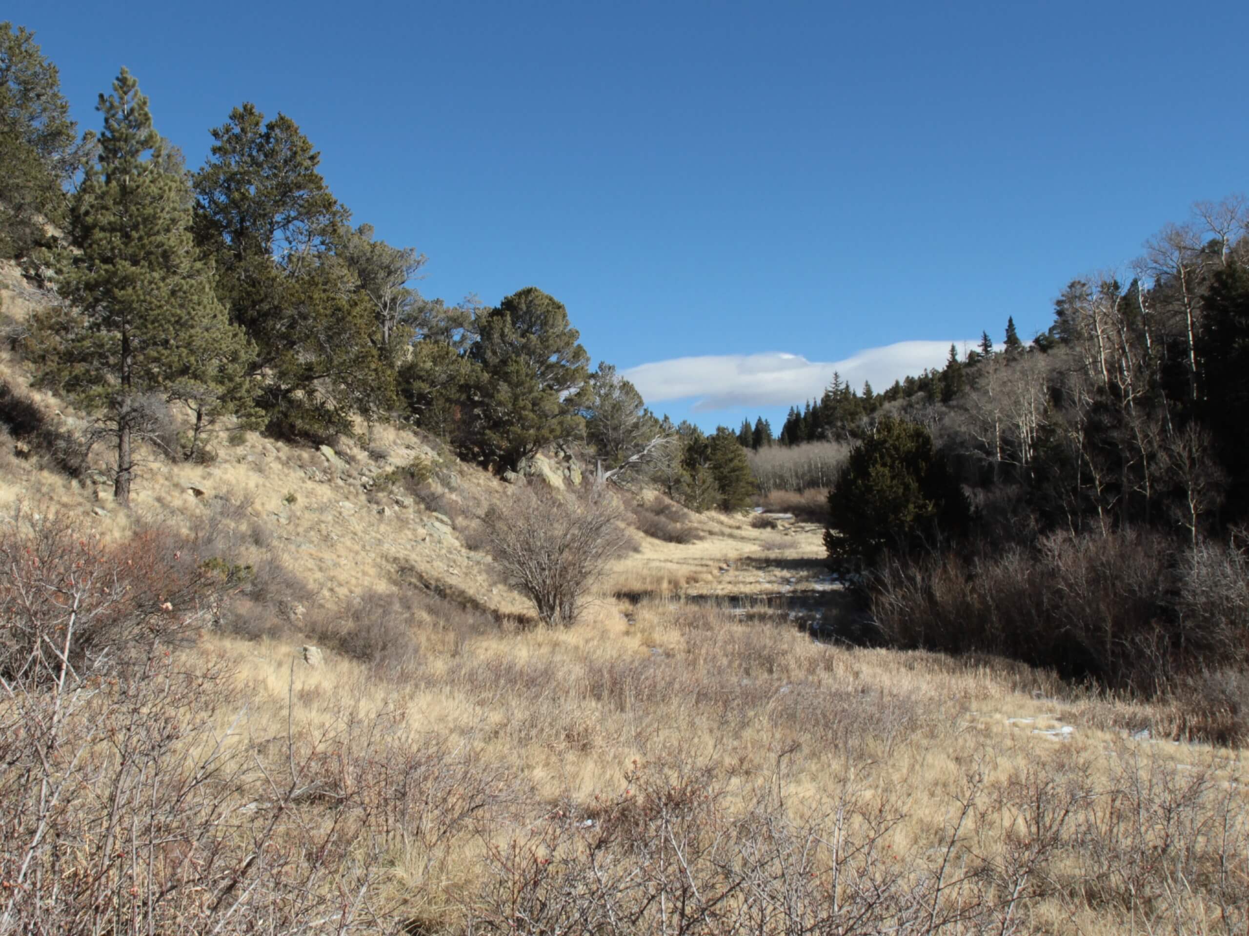 Mosca Pass Trail