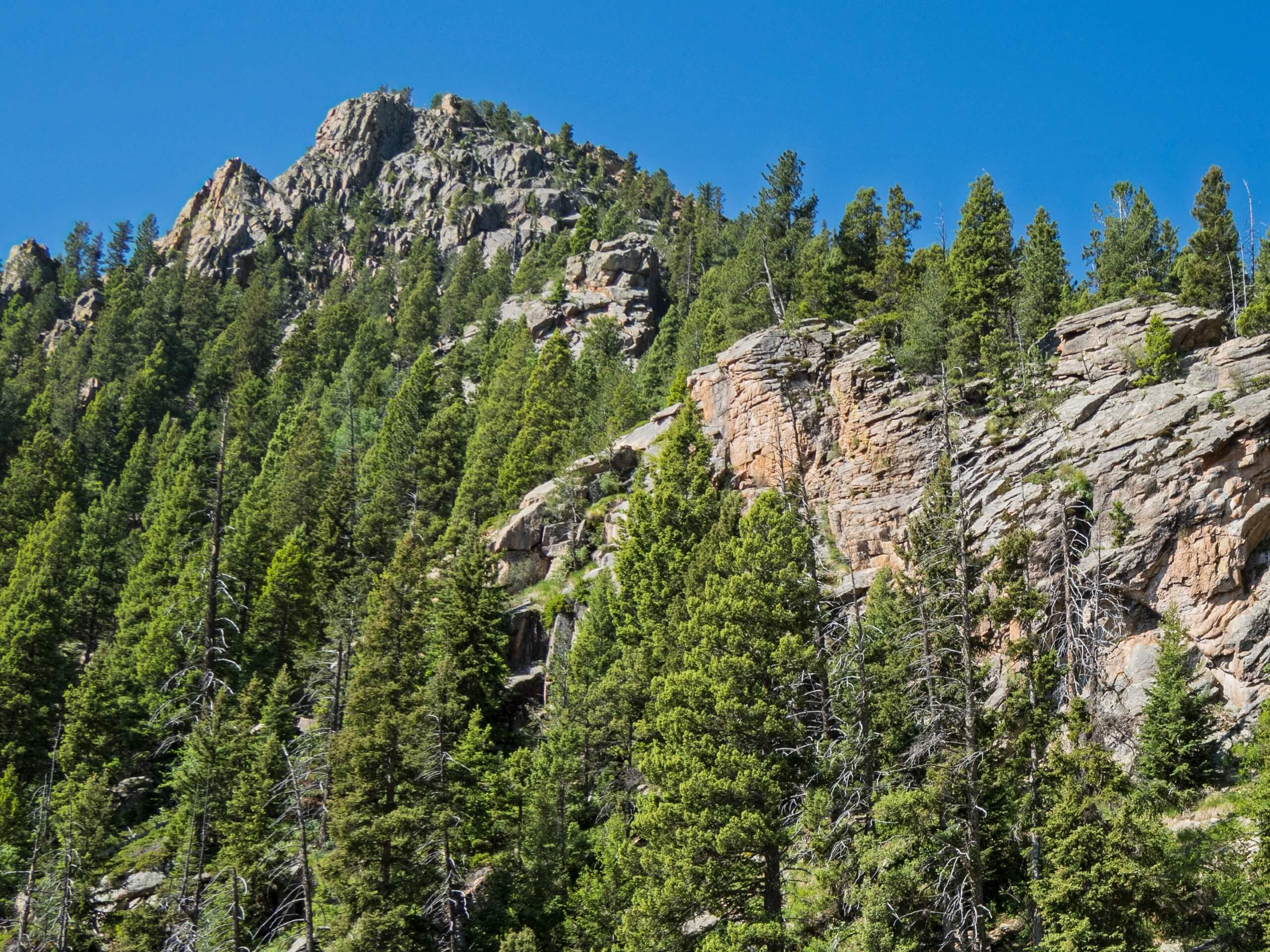 Middle Columbine Trail