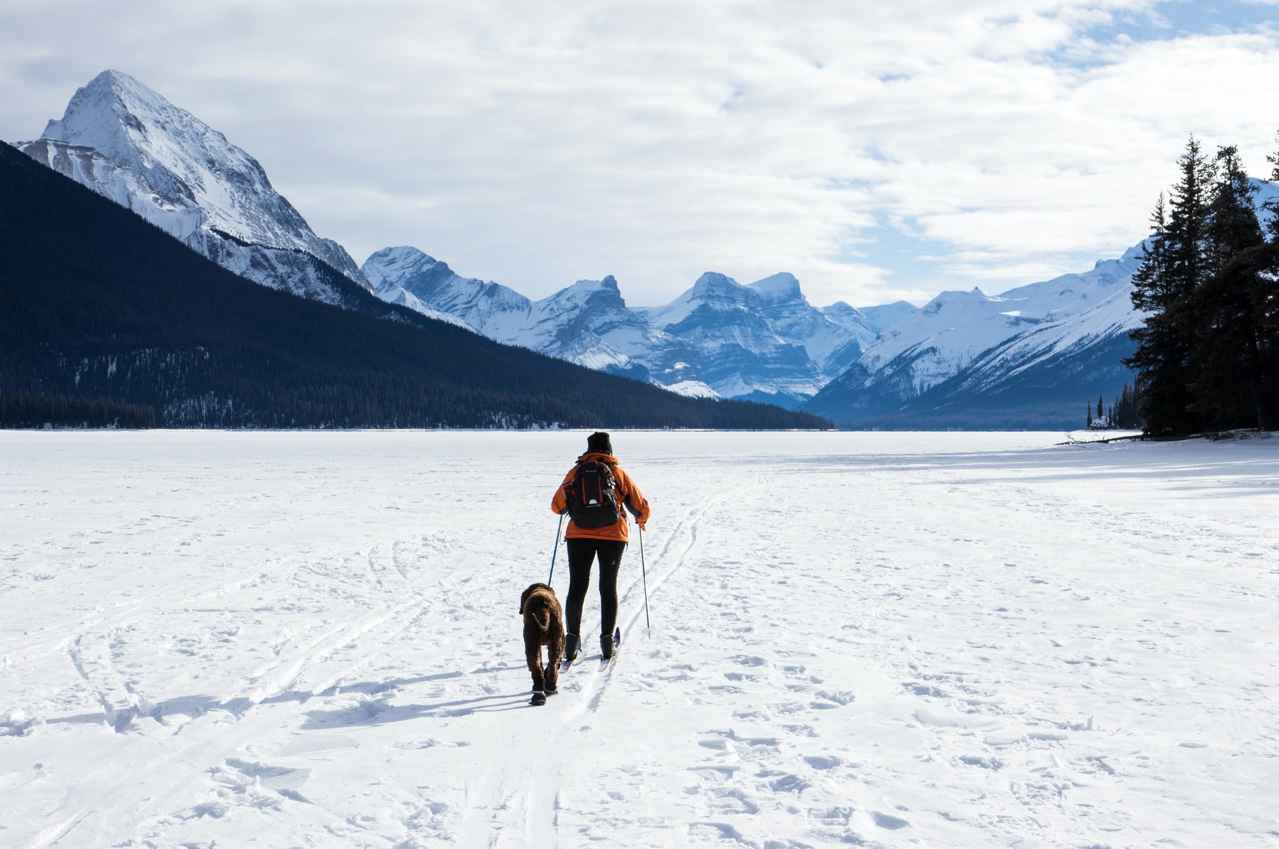 Winter hiking with a dog in Kananaskis