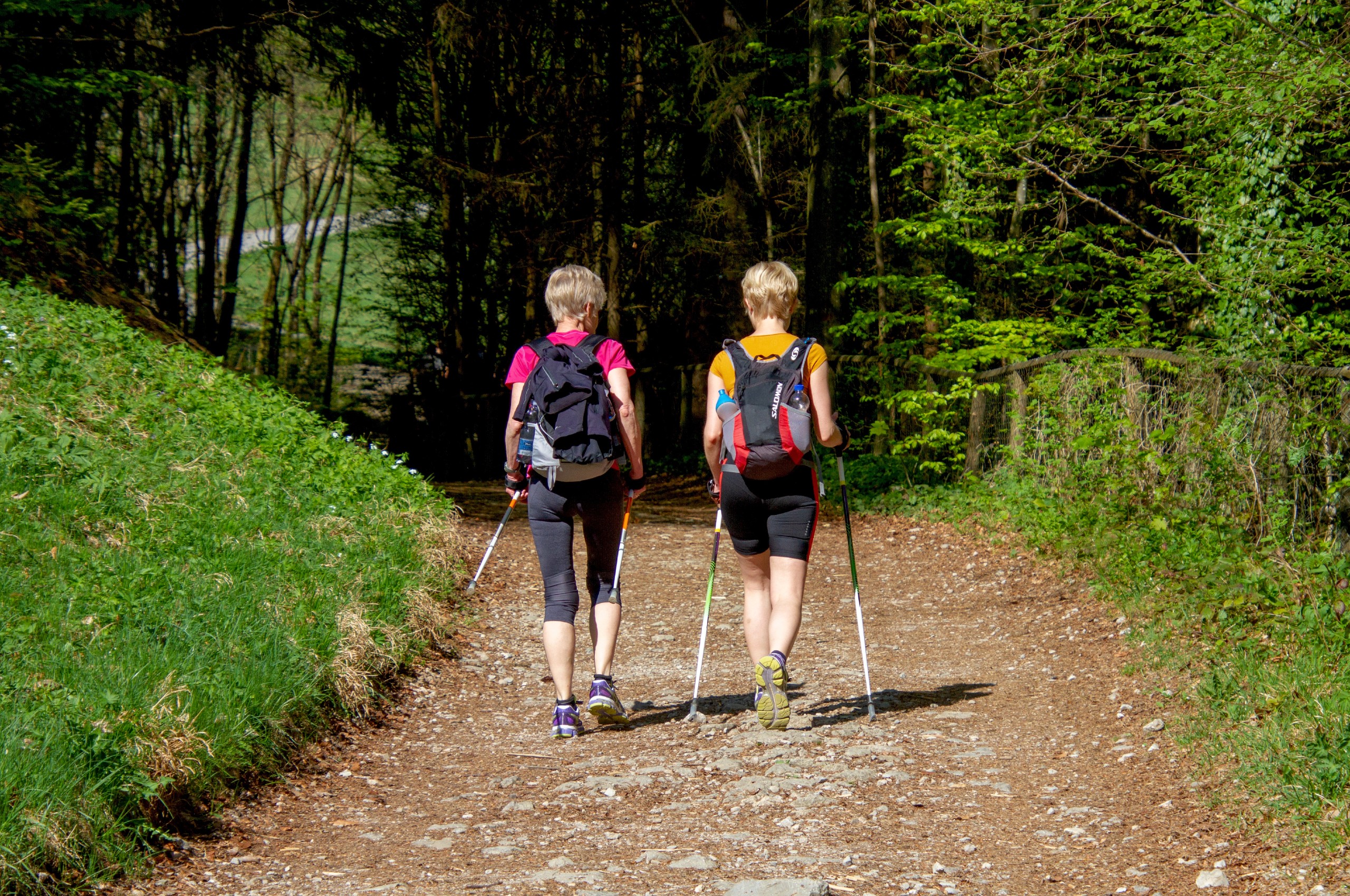 Couple of friends enjoying a walk in a lush forest