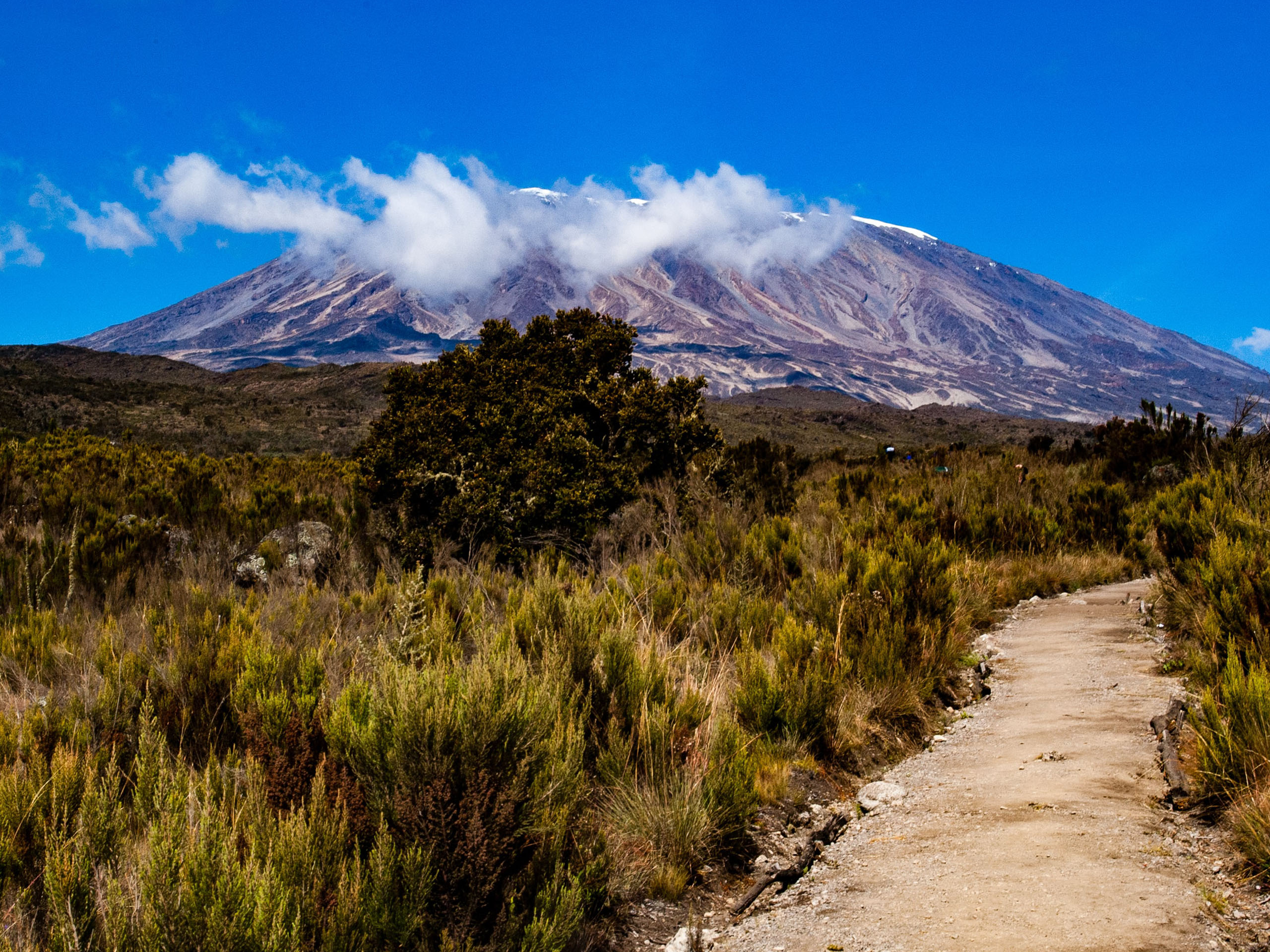 Part of the Rongai route