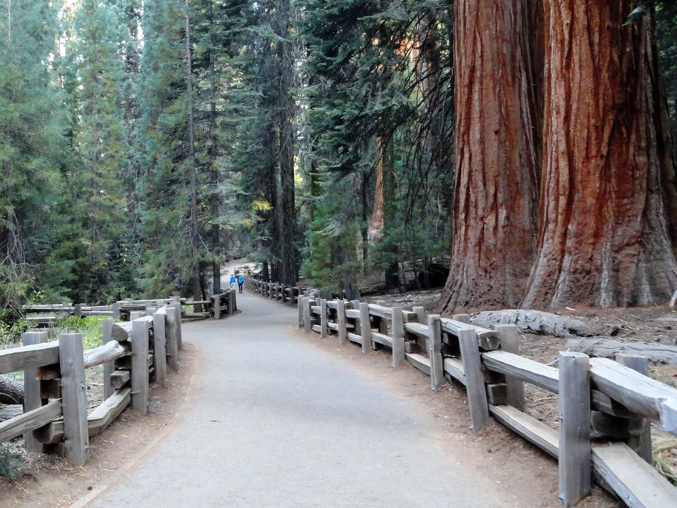 Circle Meadows via Congress Trail