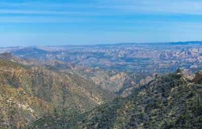 Los Padres National Forest