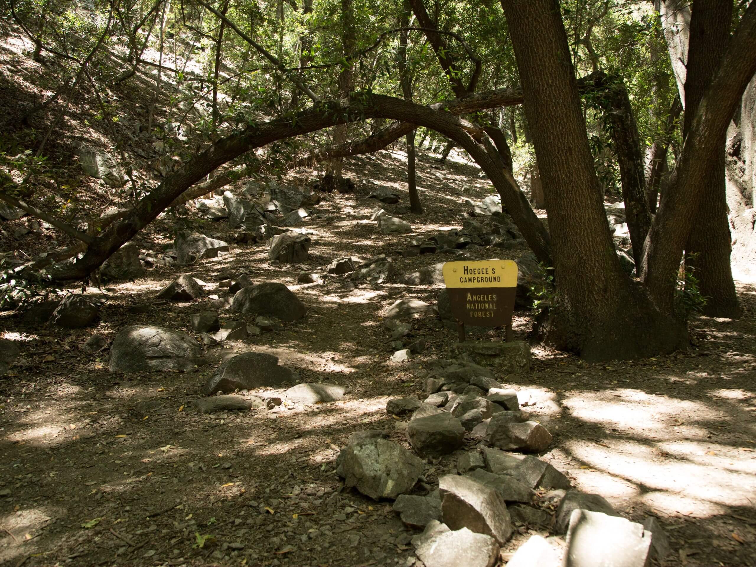 Chantry Flats to Hoegee’s Camp Hike