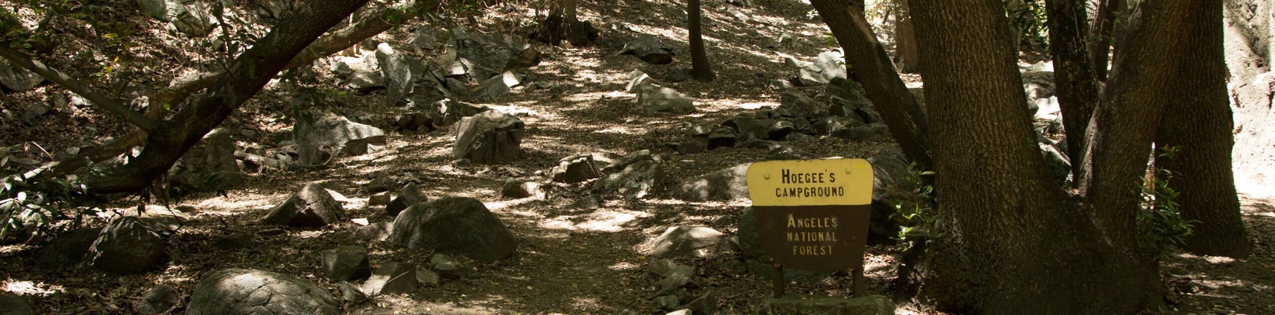 Chantry Flats to Hoegee’s Camp Hike