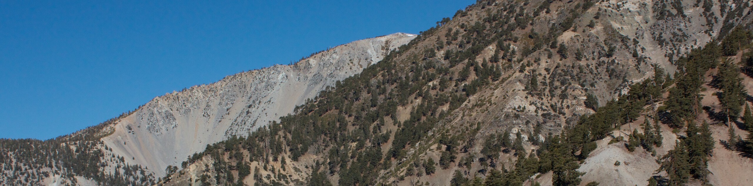 Mount Baldy via Devil’s Backbone Trail