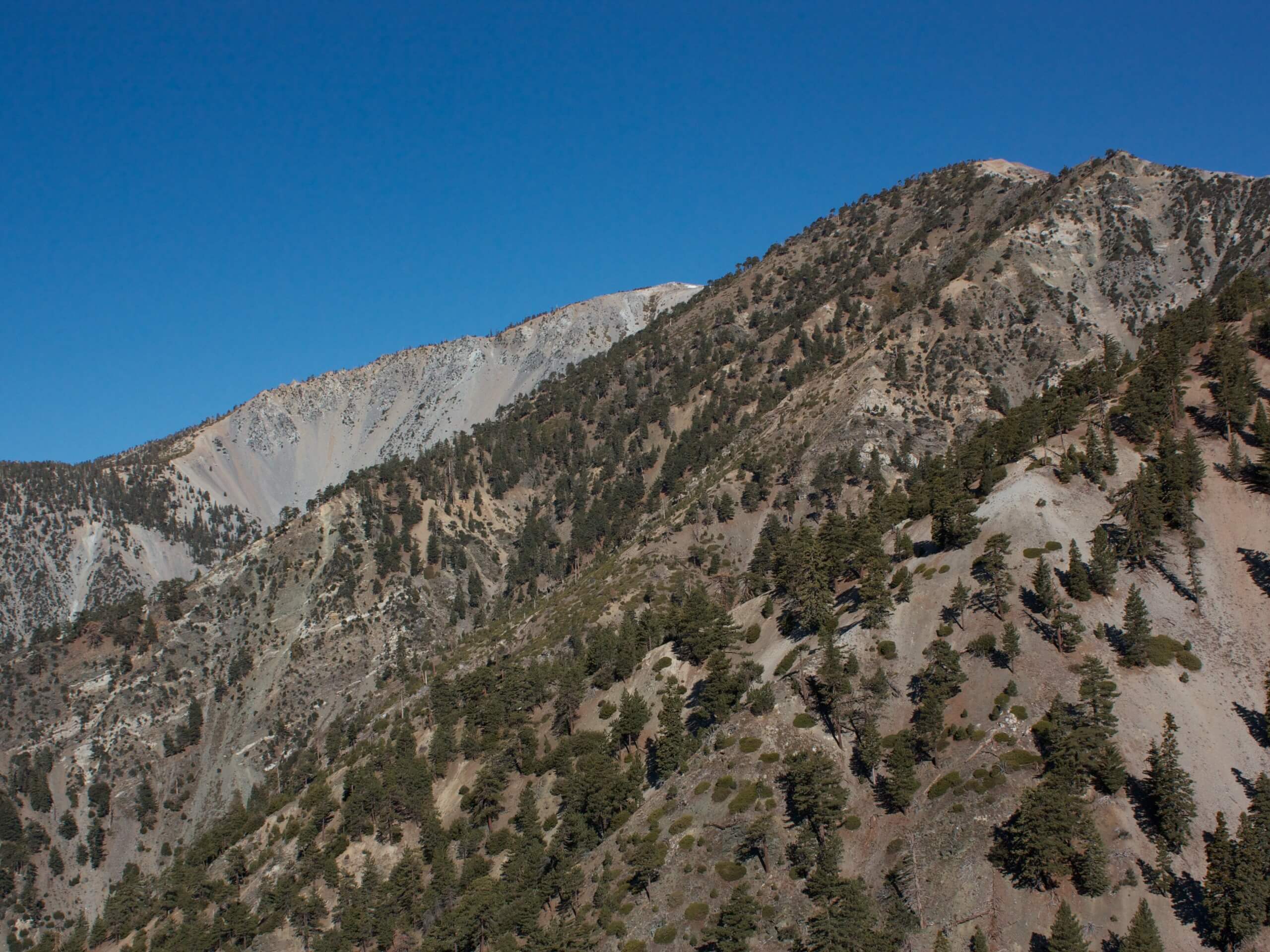 Mount San Antonio and Mount Baldy Notch Trail