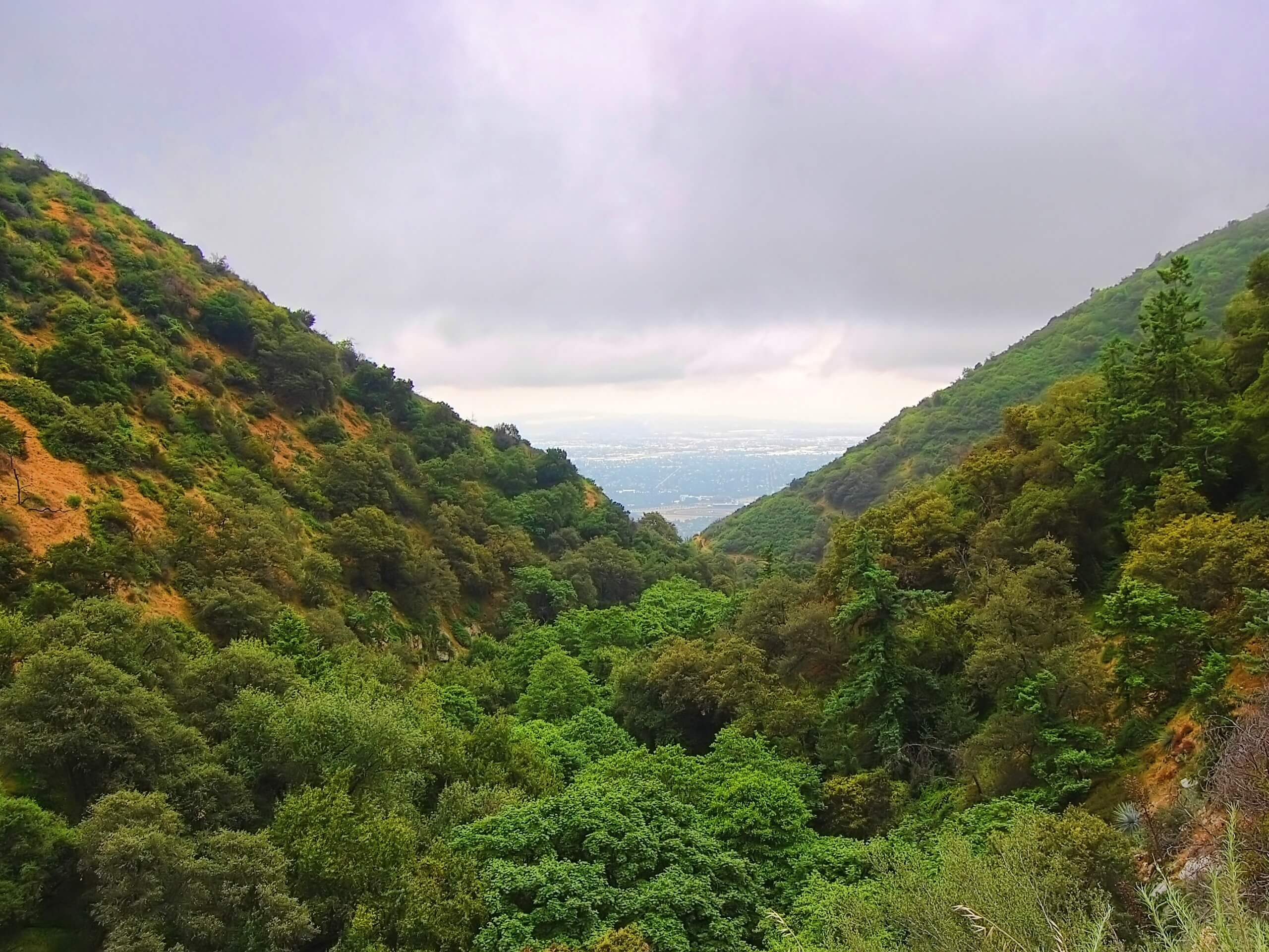 Mount Wilson Trail to Bailey Canyon Loop