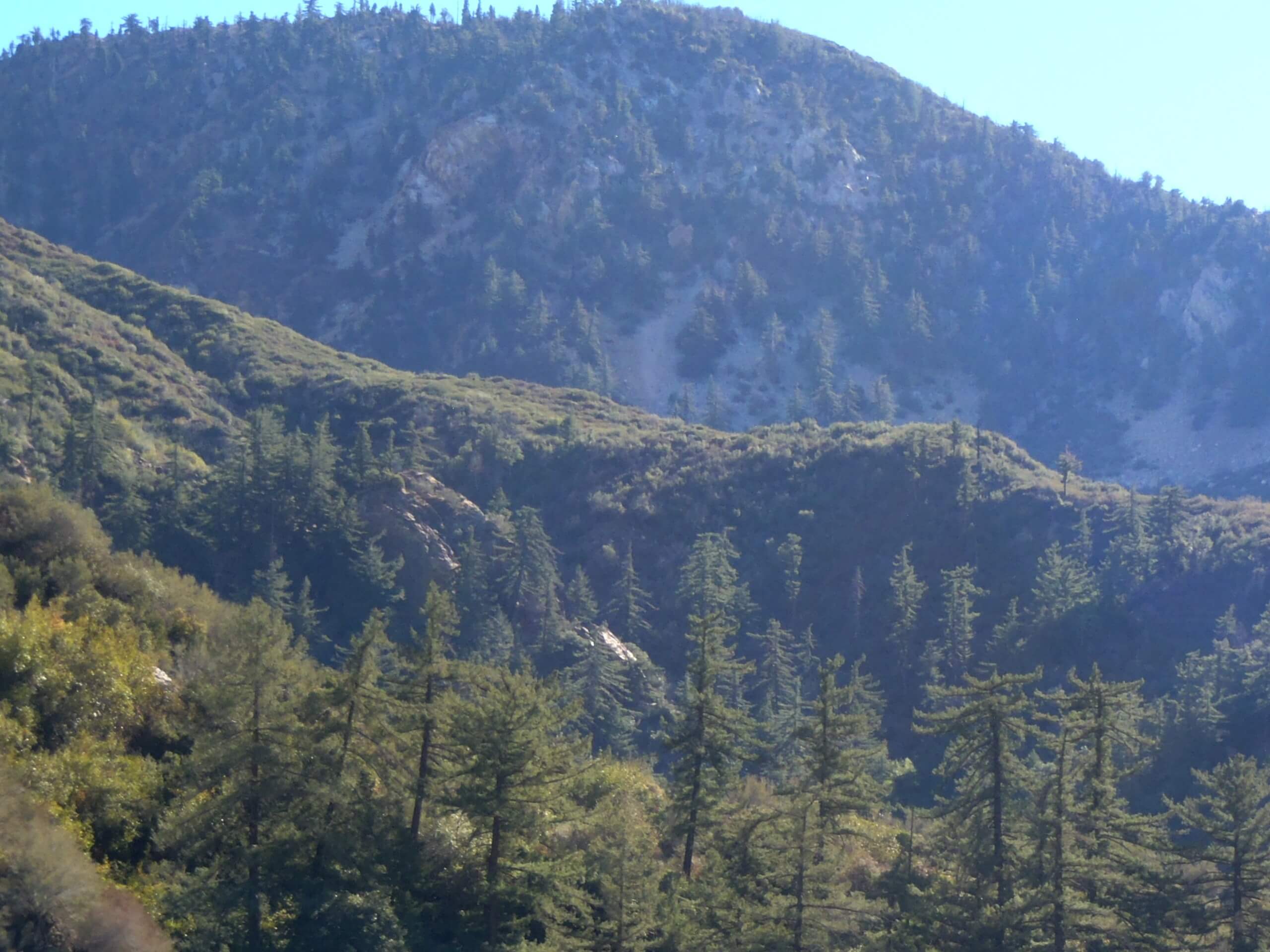 Stoddard Peak Hike