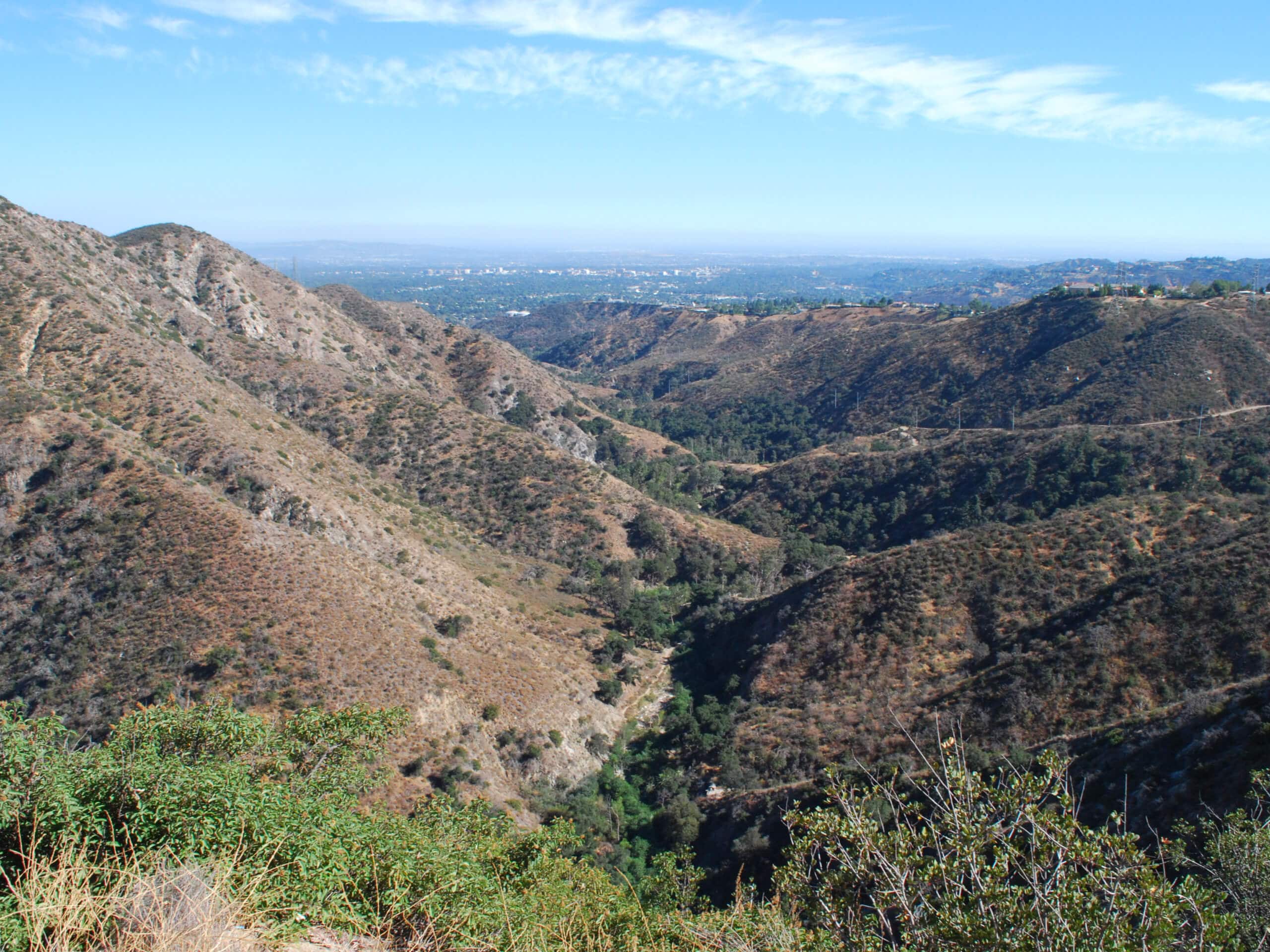 Manzanita Ridge via Mount Wilson Trail