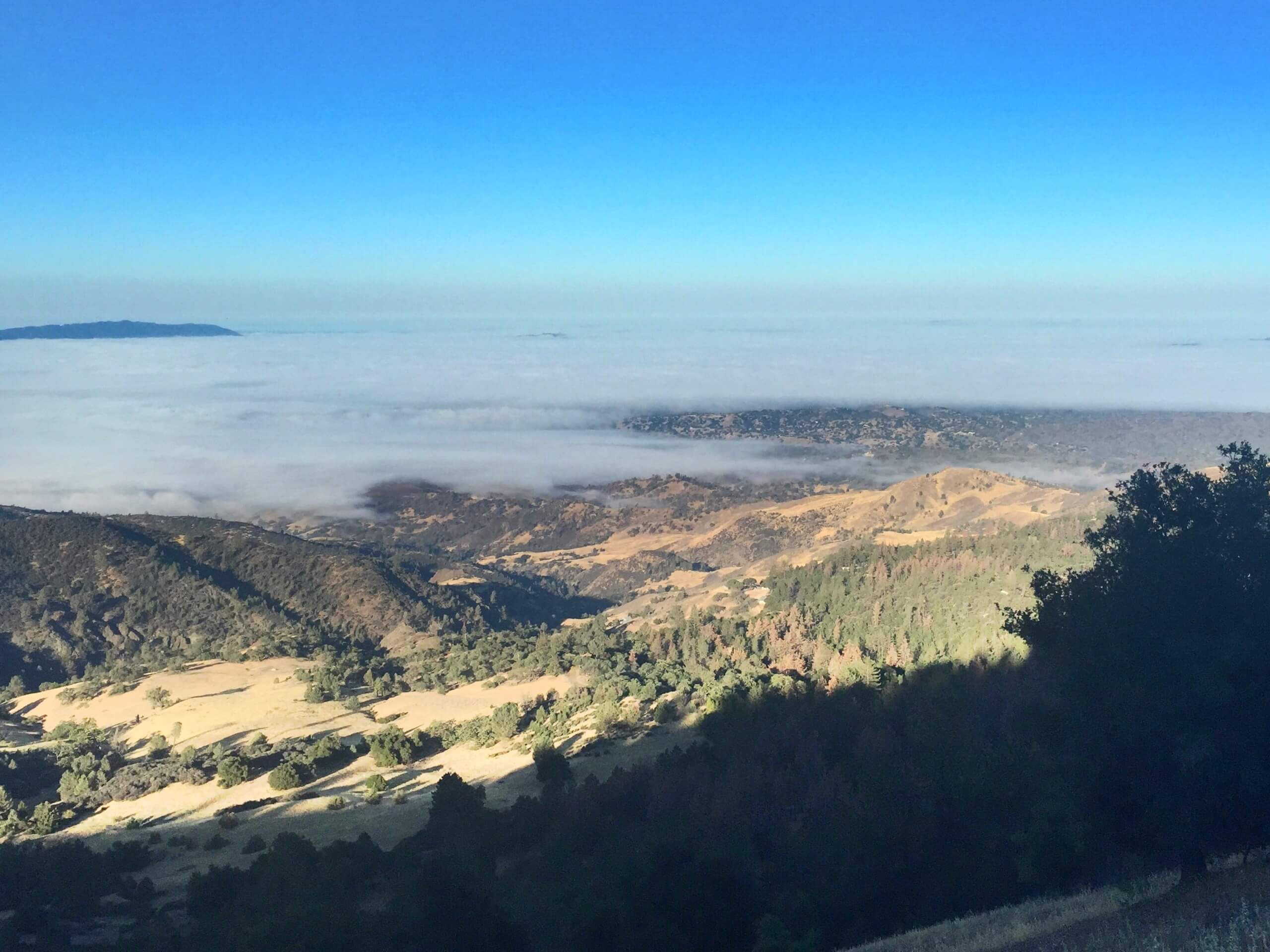 Figueroa Mountain Hike