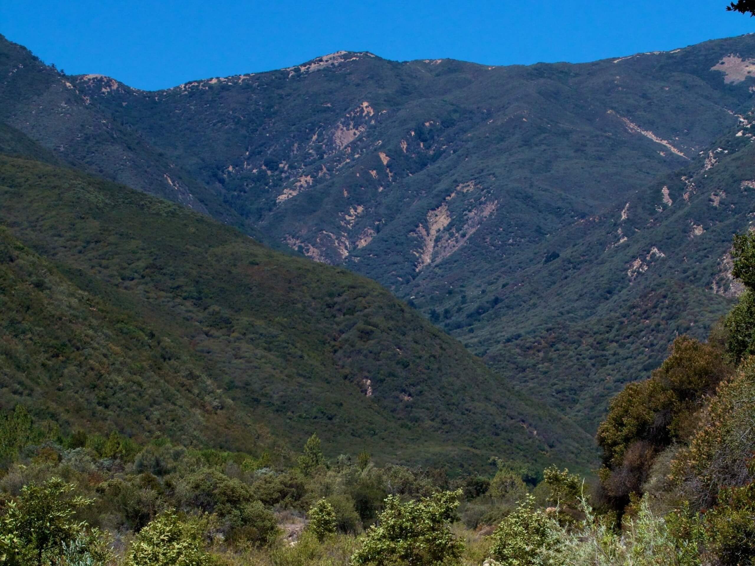 North Fork Matilija Trail