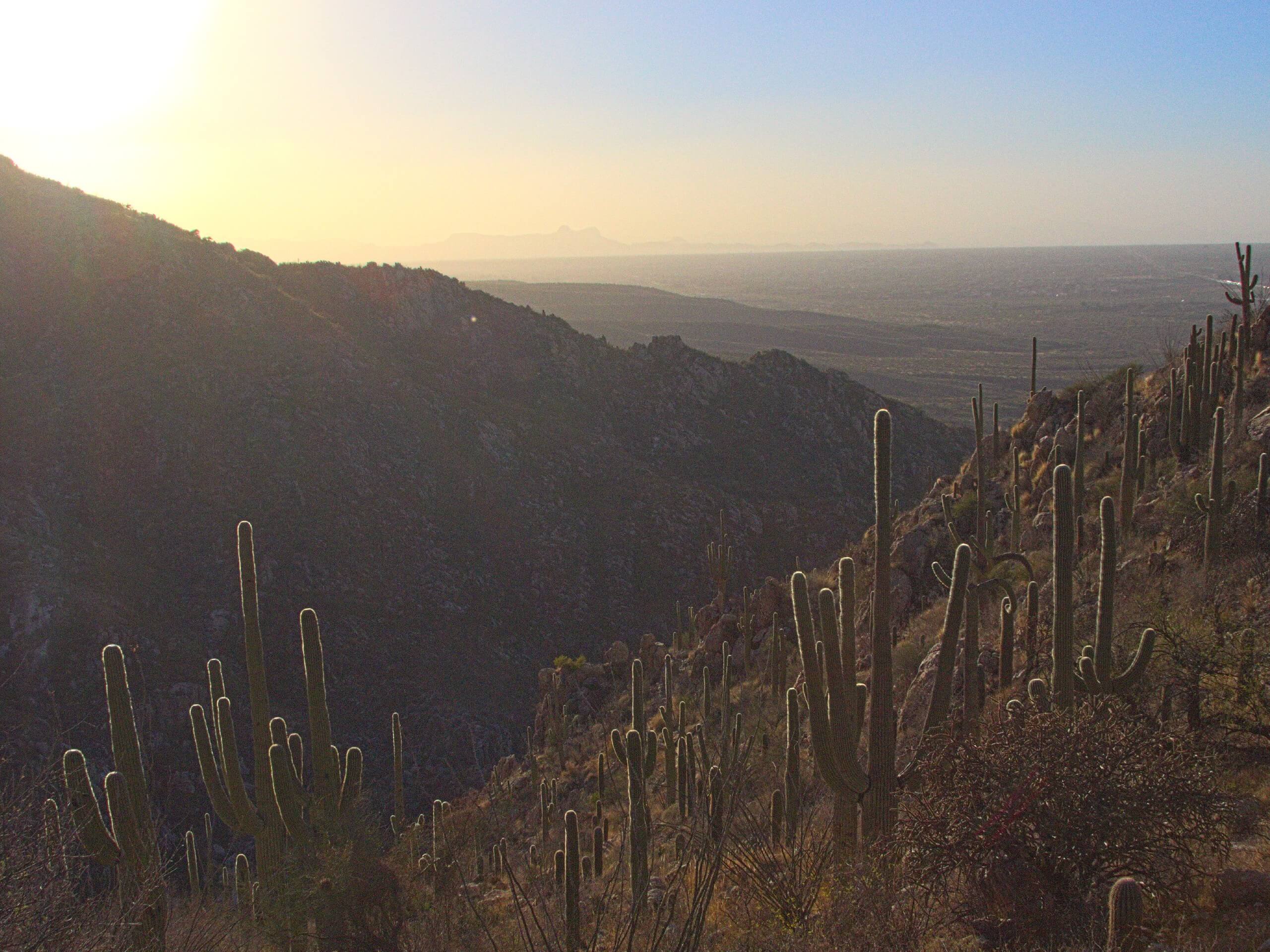 Romero Canyon Loop