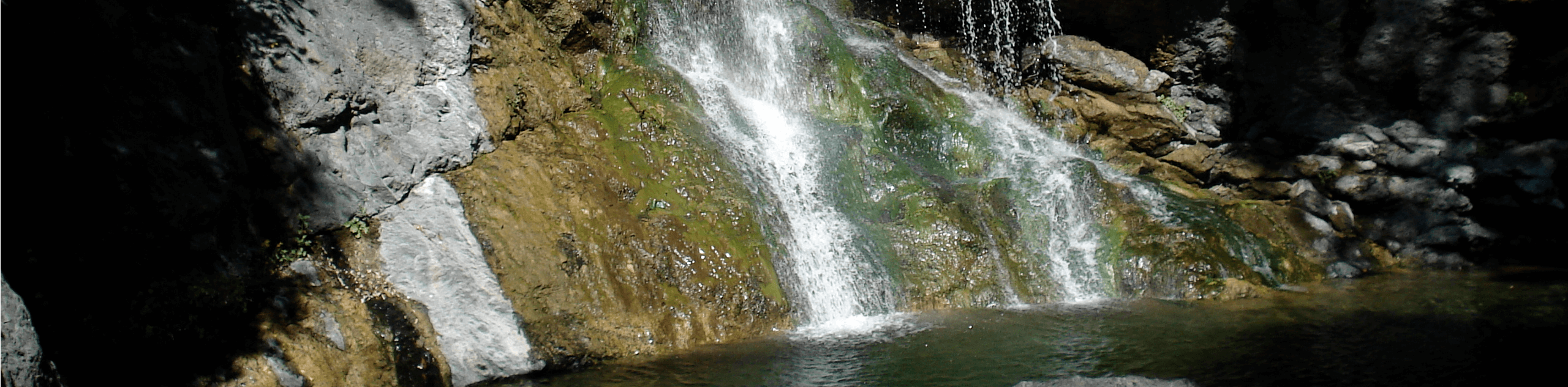 Salmon Creek Falls Hike