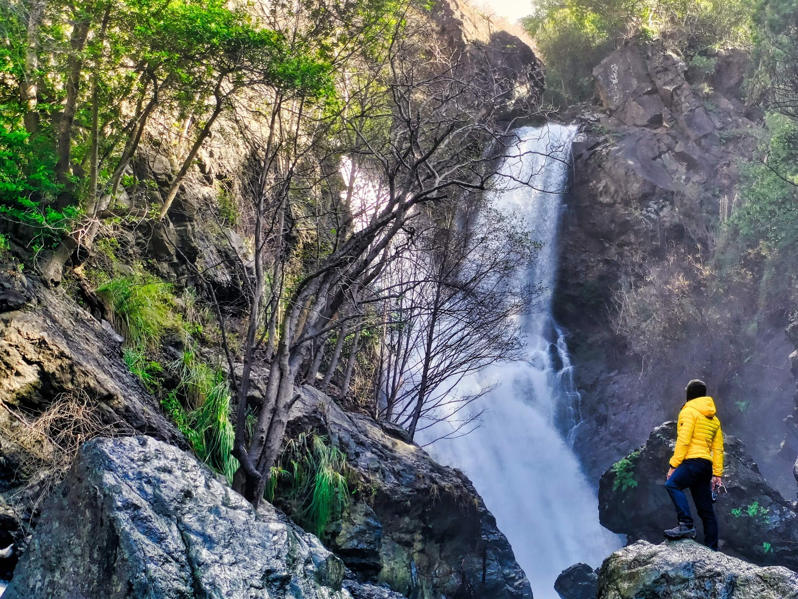 Salmon Creek Trail